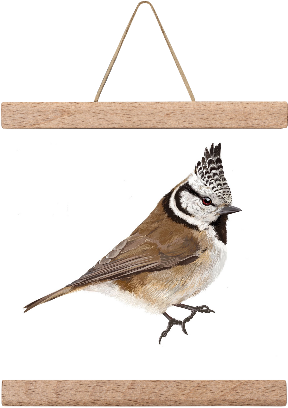 Búbos cinege, 20x20 cm (20x20 cm), Tölgy akasztó