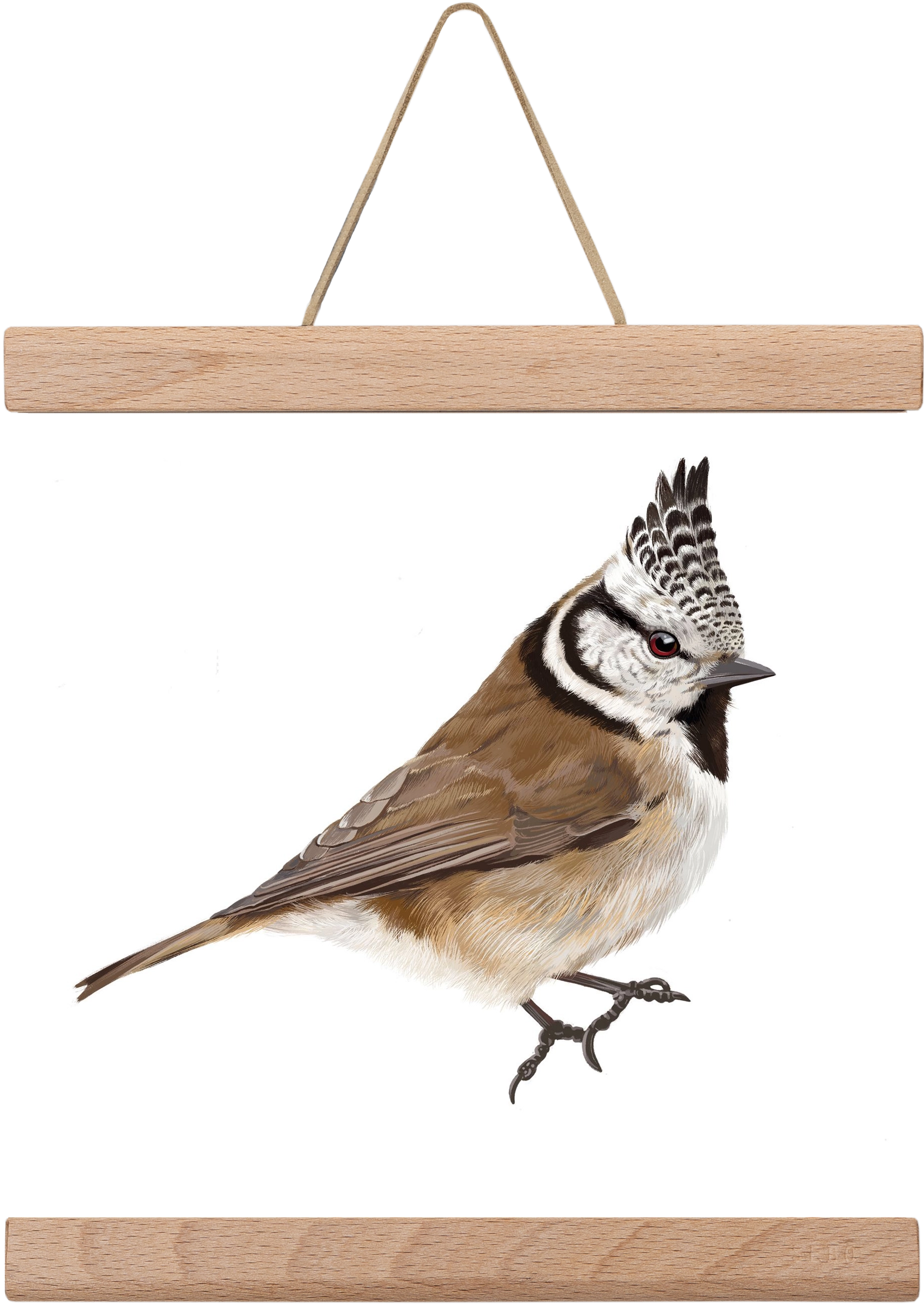 Búbos cinege, 20x20 cm (20x20 cm), Tölgy akasztó
