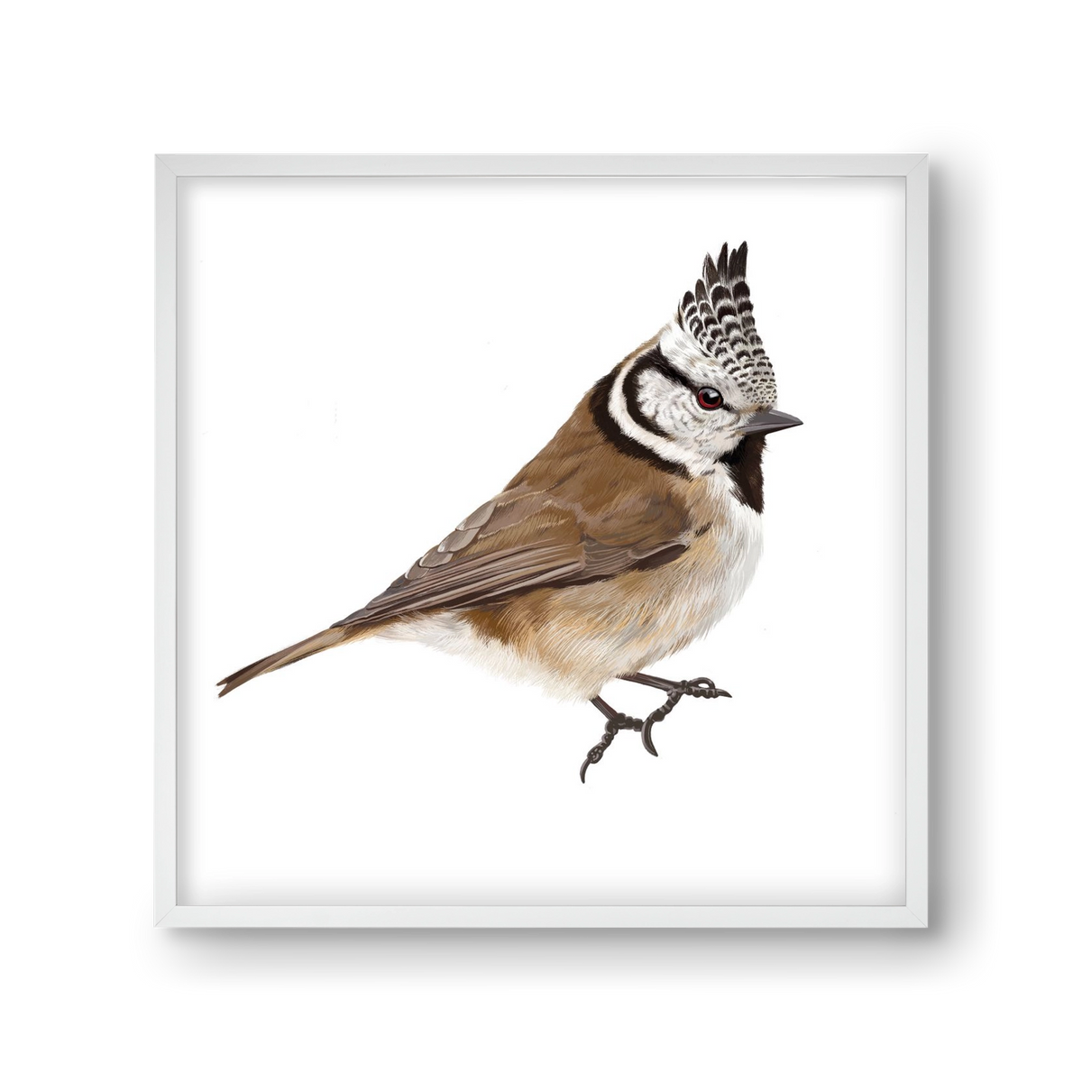 Búbos cinege, 30x30 cm (30x30 cm), Fehér keret