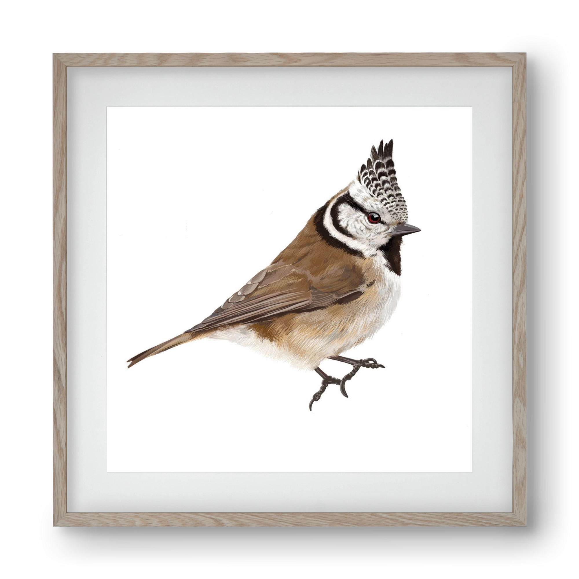 Búbos cinege, 40x40 cm (30x30 cm), Tölgy keret, paszpartuval