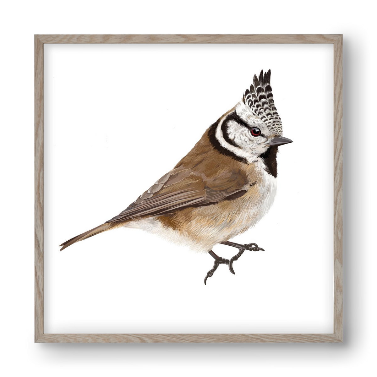 Búbos cinege, 40x40 cm (40x40 cm), Tölgy keret