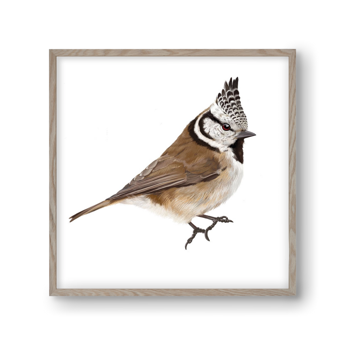 Búbos cinege, 30x30 cm (30x30 cm), Tölgy keret