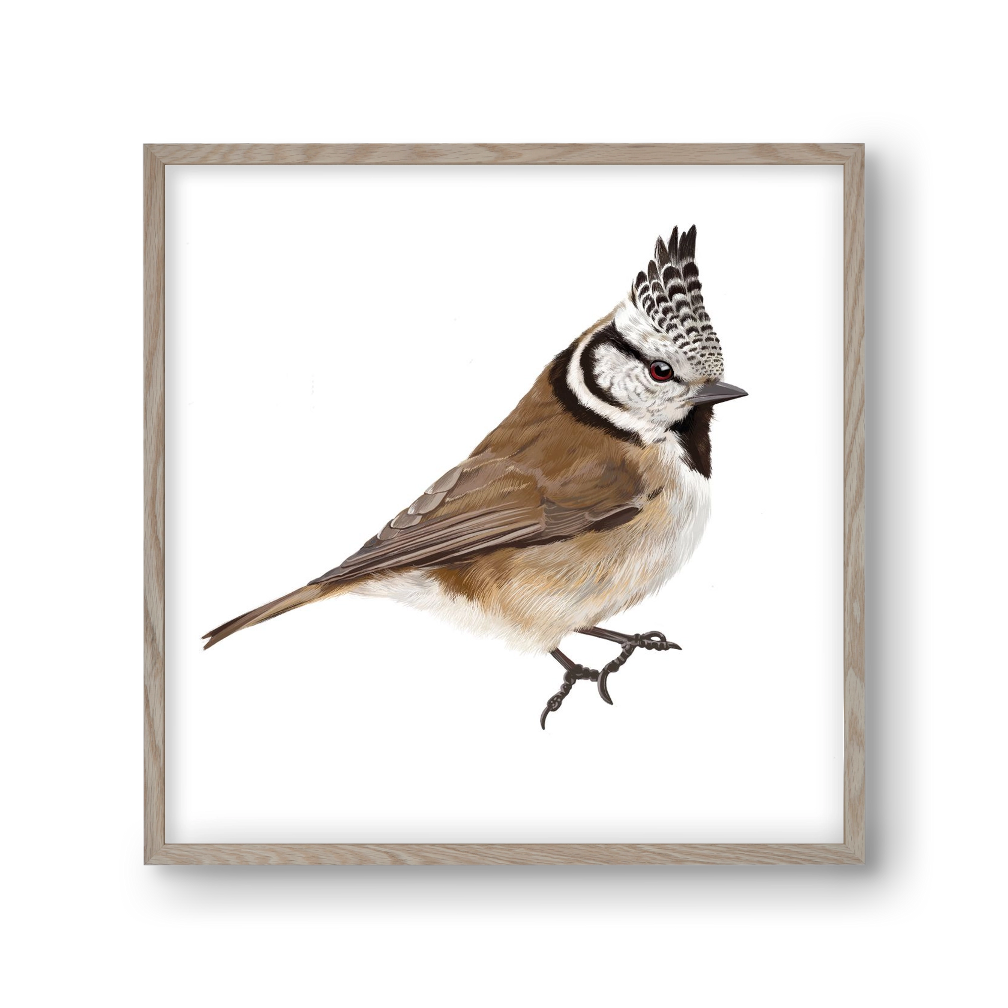 Búbos cinege, 30x30 cm (30x30 cm), Tölgy keret