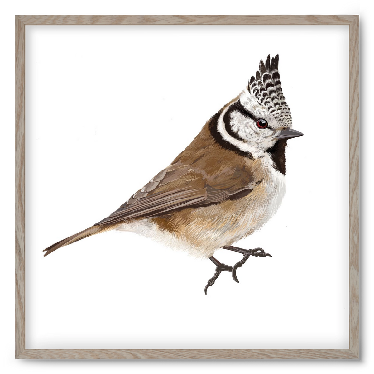 Búbos cinege, 50x50 cm (50x50 cm), Tölgy keret