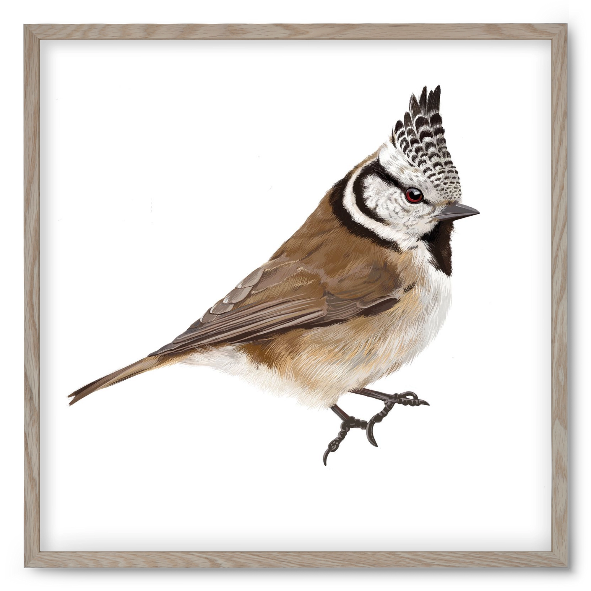 Búbos cinege, 50x50 cm (50x50 cm), Tölgy keret