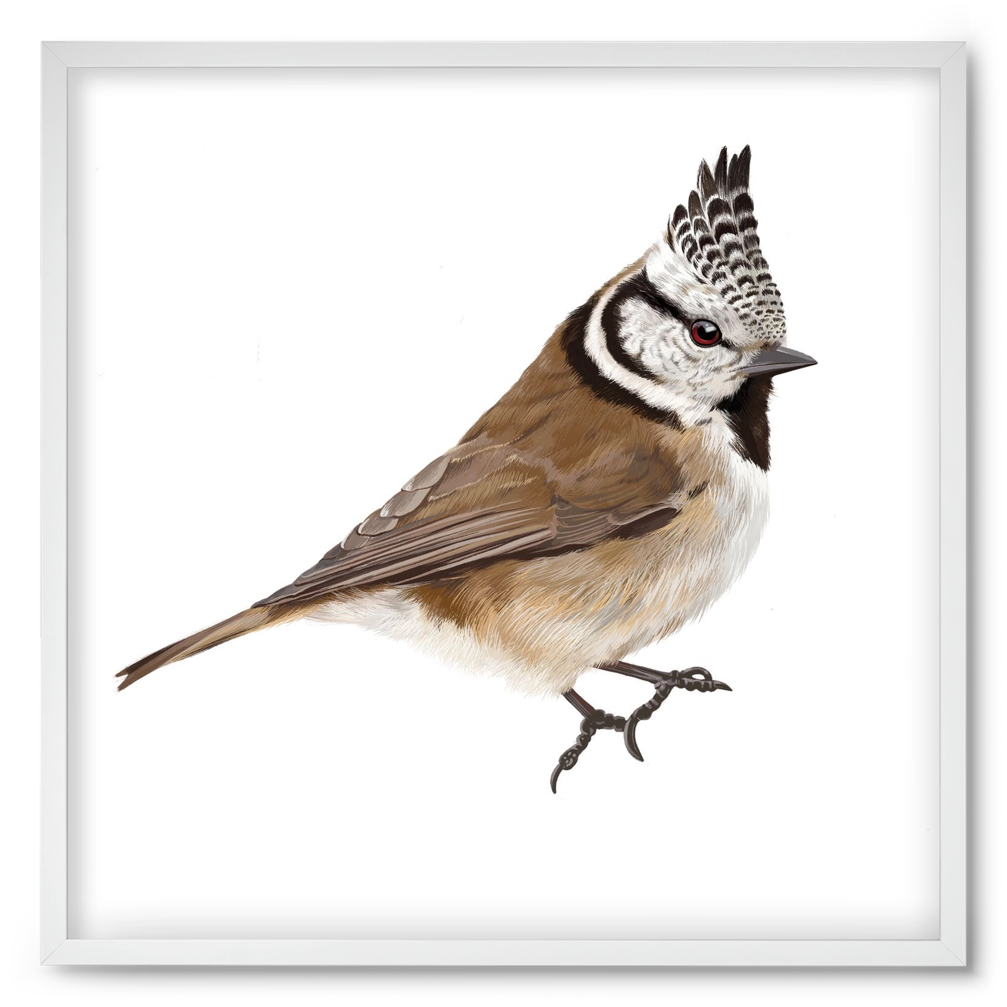 Búbos cinege, 50x50 cm (50x50 cm), Fehér keret