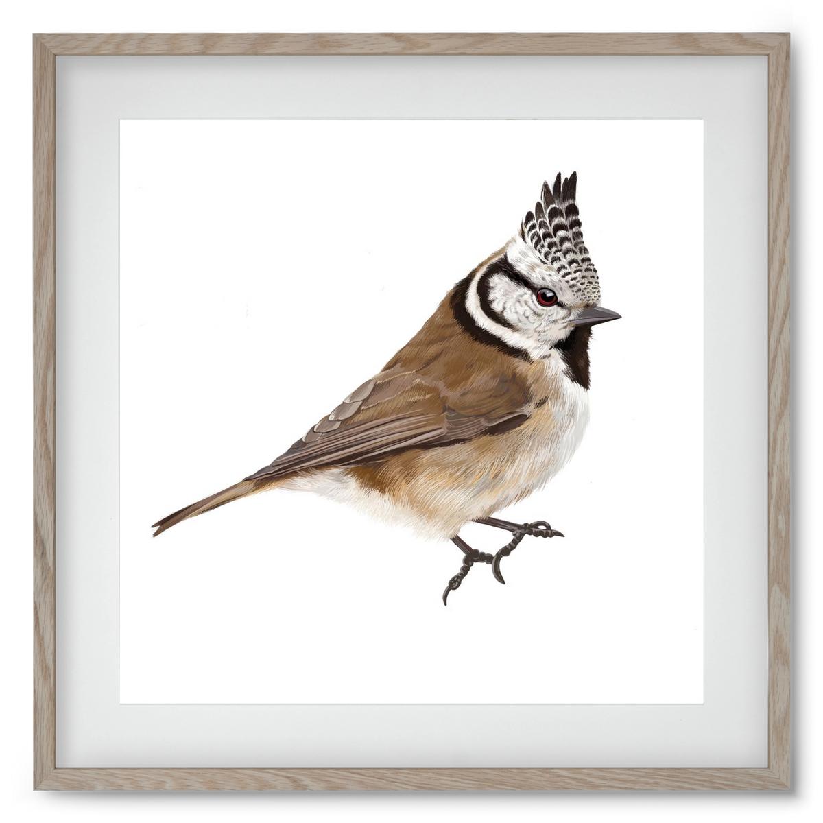 Búbos cinege, 50x50 cm (40x40 cm), Tölgy keret, paszpartuval