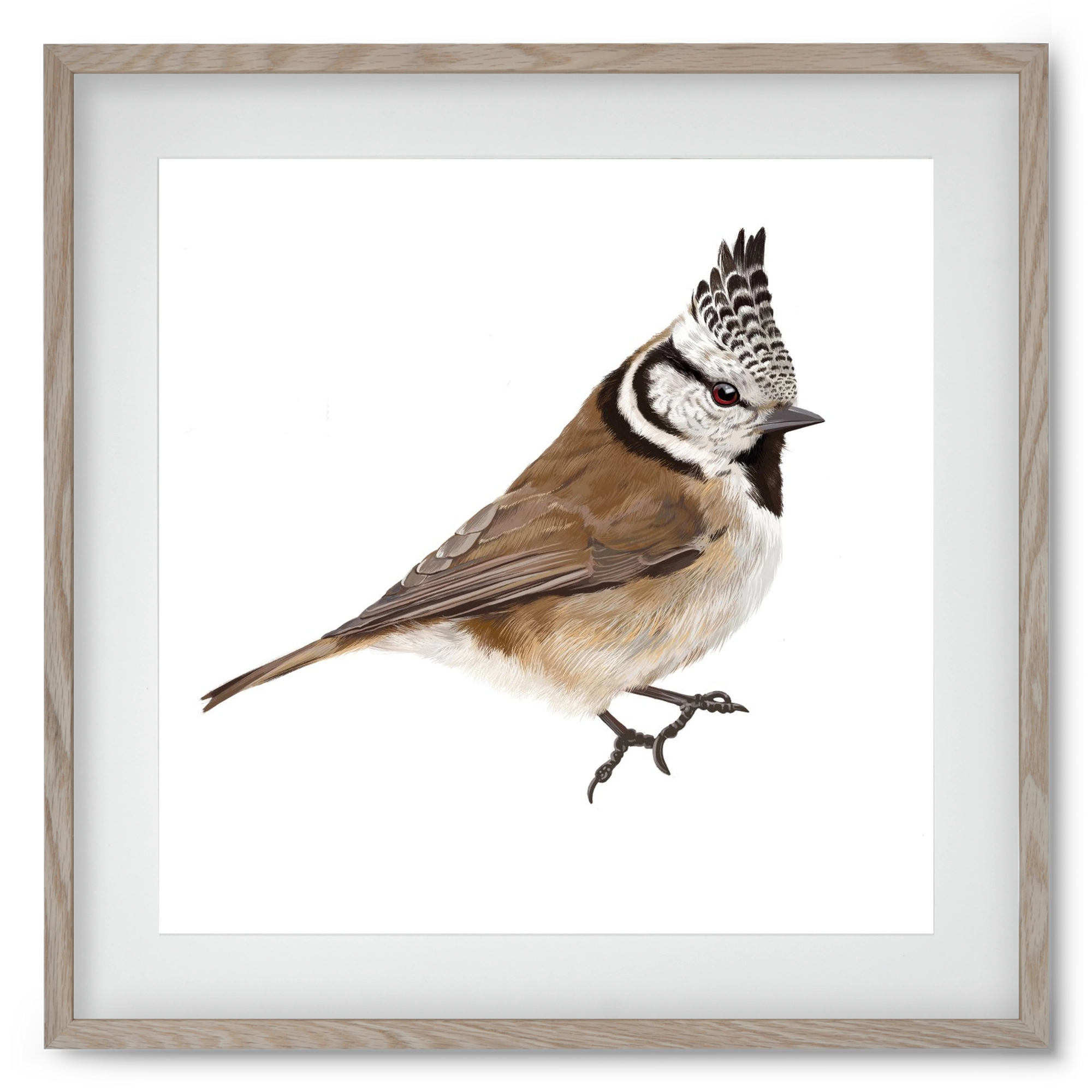 Búbos cinege, 50x50 cm (40x40 cm), Tölgy keret, paszpartuval