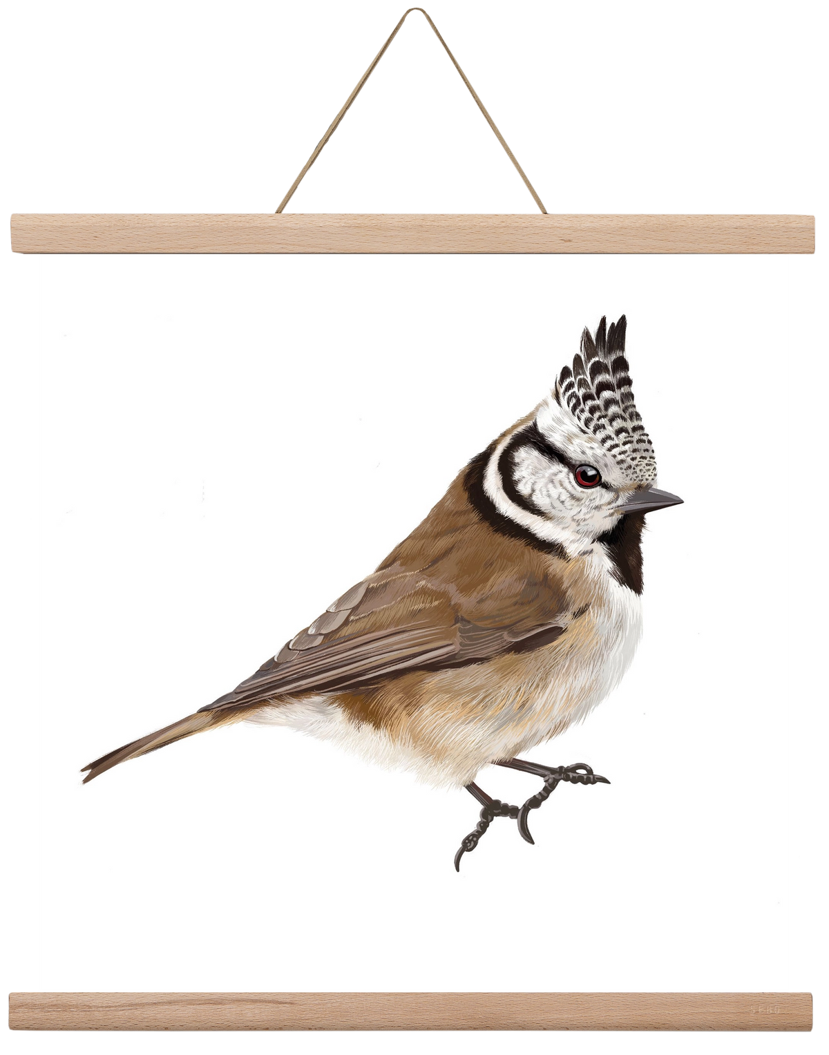 Búbos cinege, 40x40 cm (40x40 cm), Tölgy akasztó