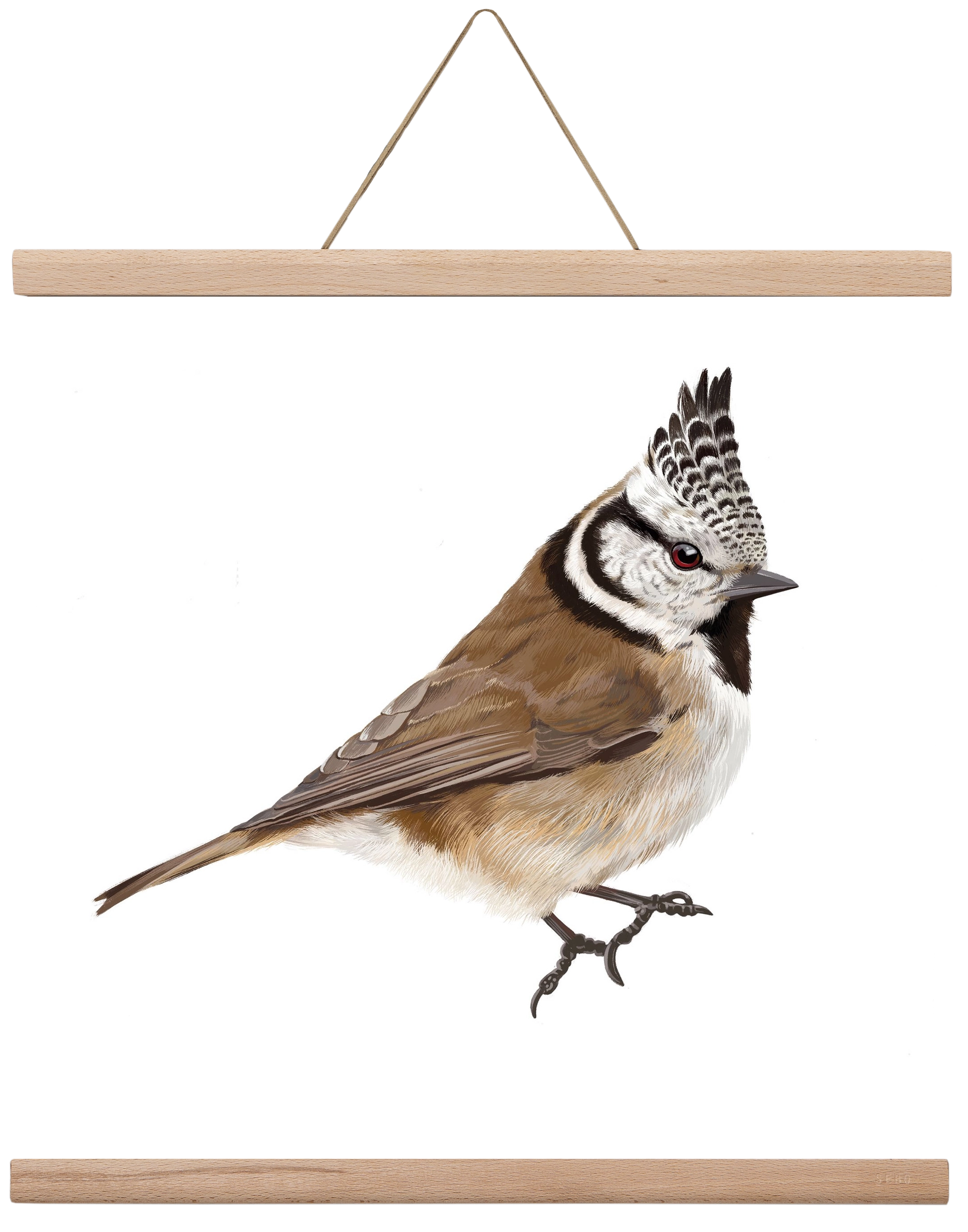 Búbos cinege, 40x40 cm (40x40 cm), Tölgy akasztó