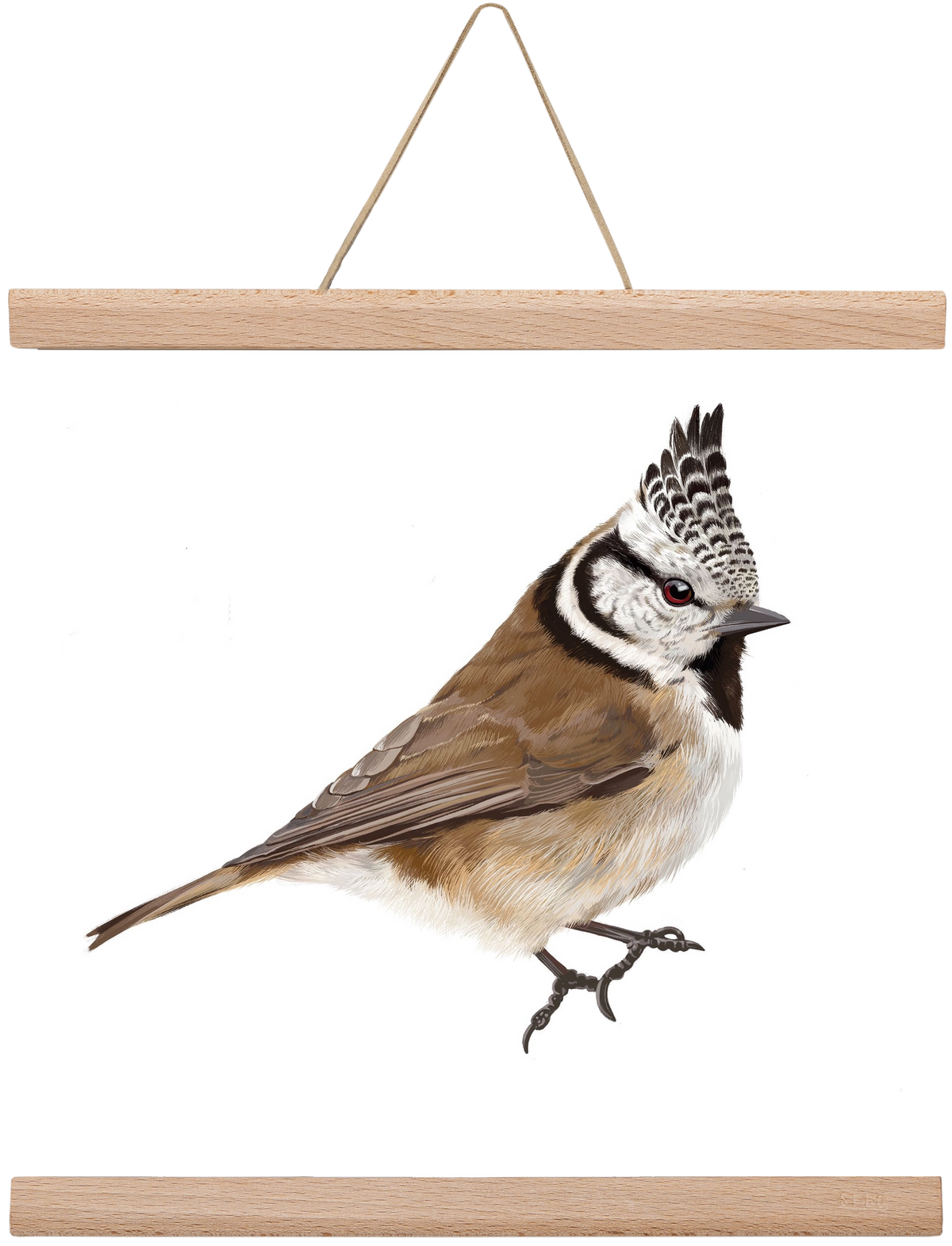 Búbos cinege, 30x30 cm (30x30 cm), Tölgy akasztó