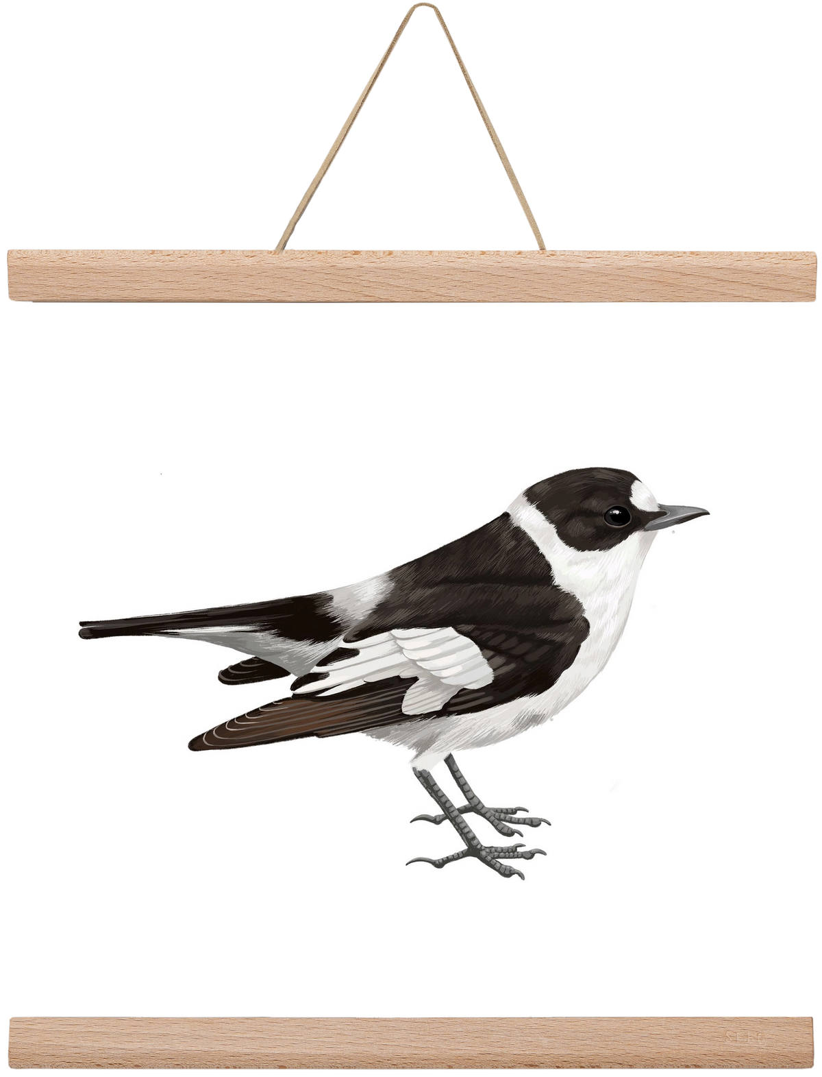 Örvös légykapó , 30x30 cm (30x30 cm), Tölgy akasztó