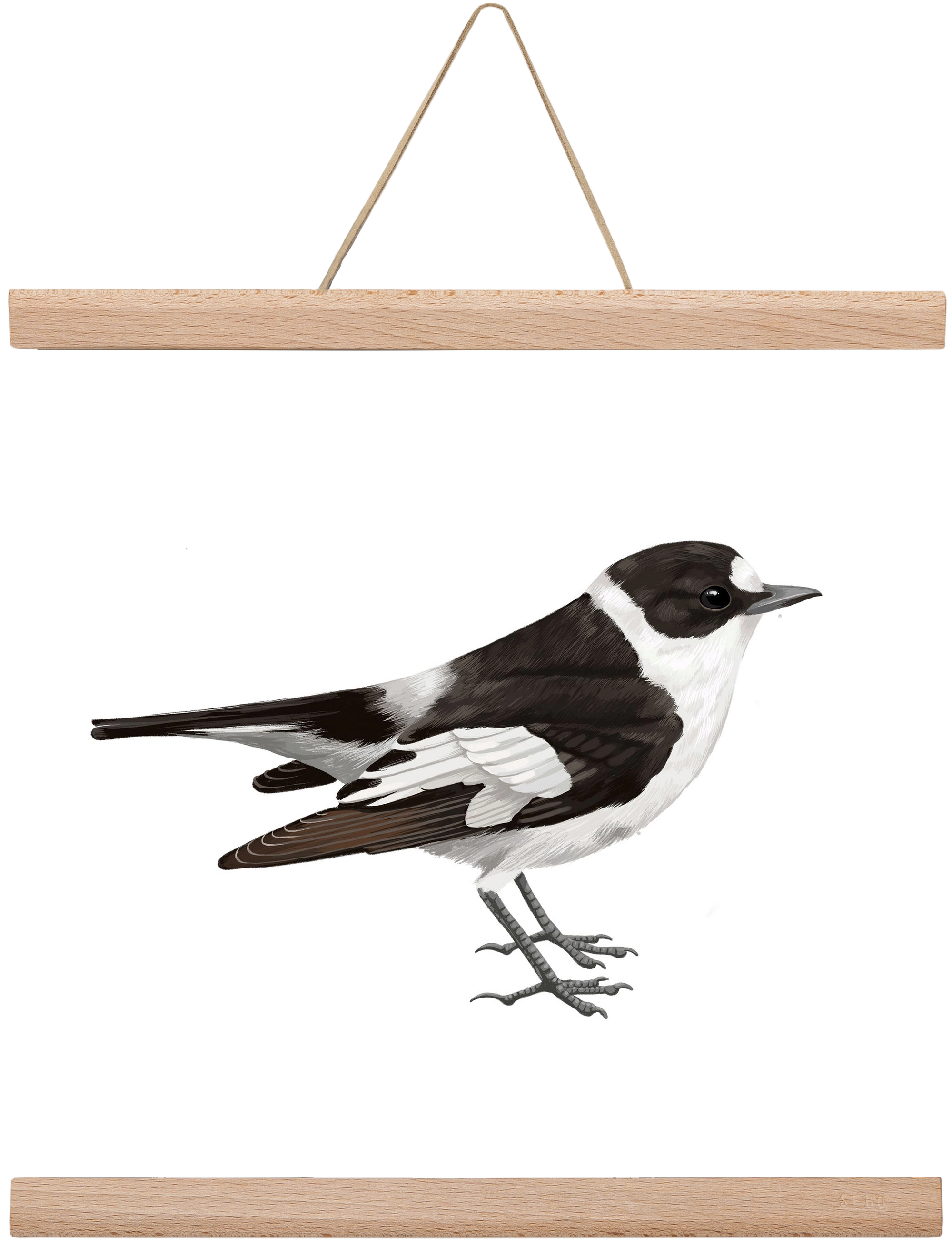 Örvös légykapó , 30x30 cm (30x30 cm), Tölgy akasztó