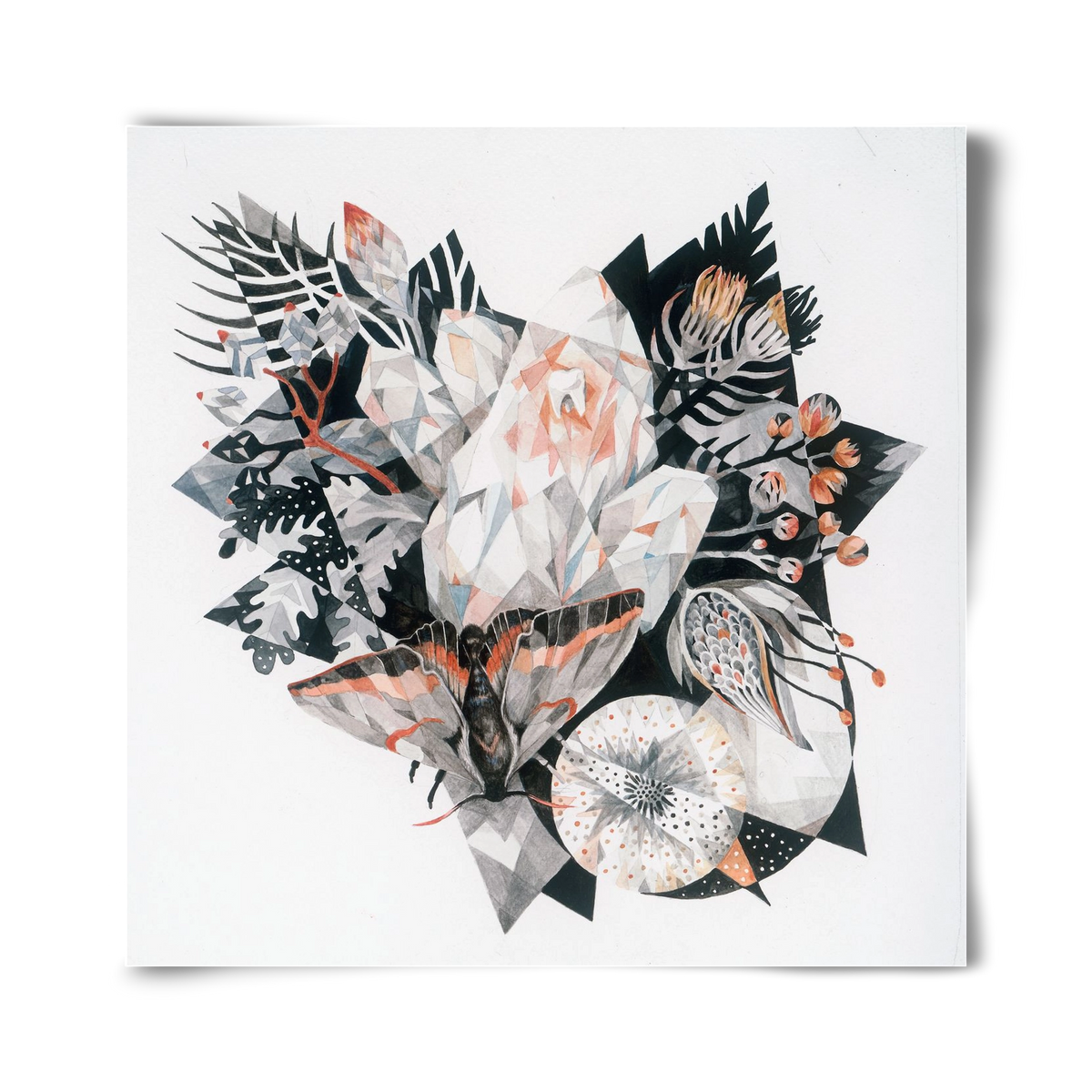 Metamorphosis, 40x40 cm, Keret nélkül