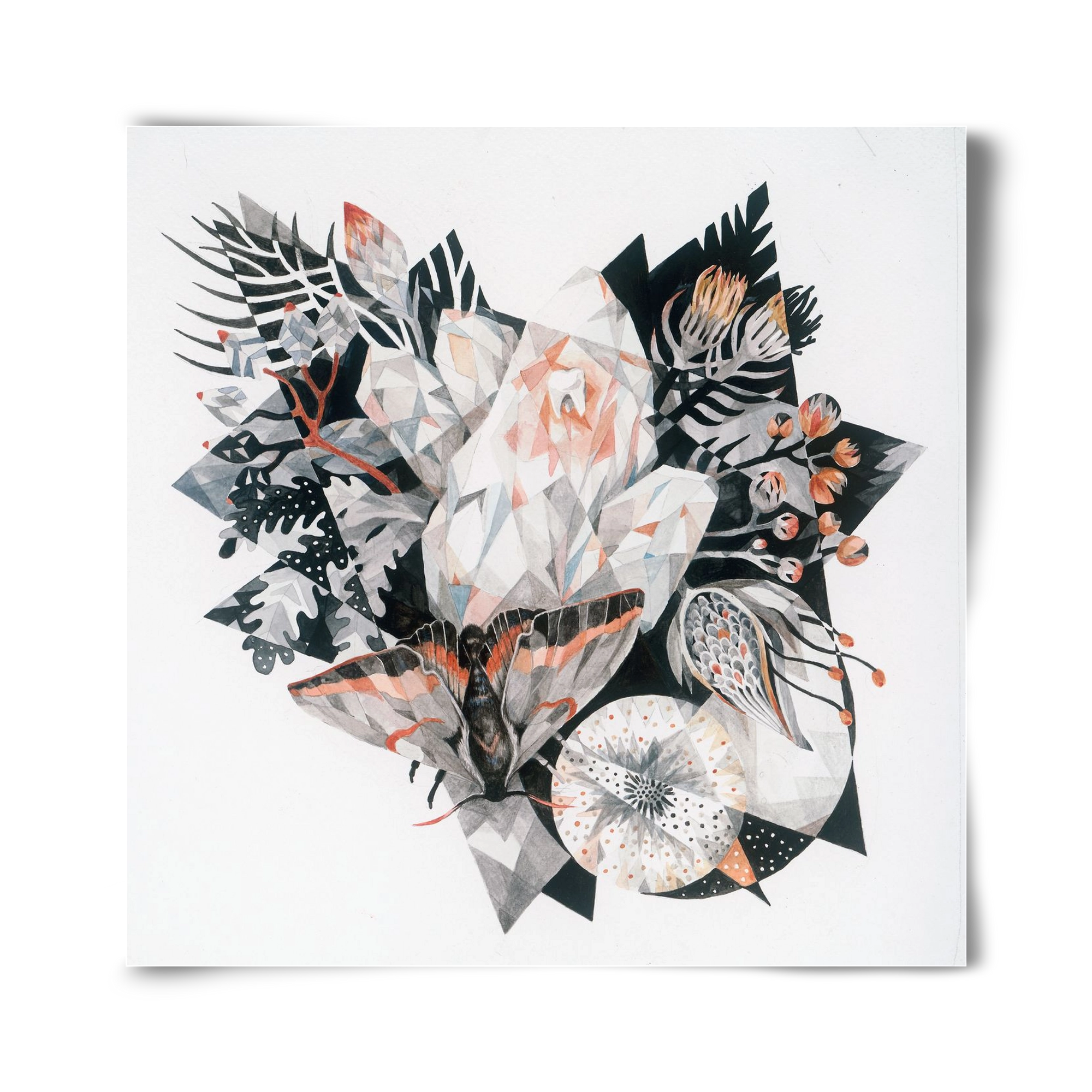 Metamorphosis, 40x40 cm, Keret nélkül