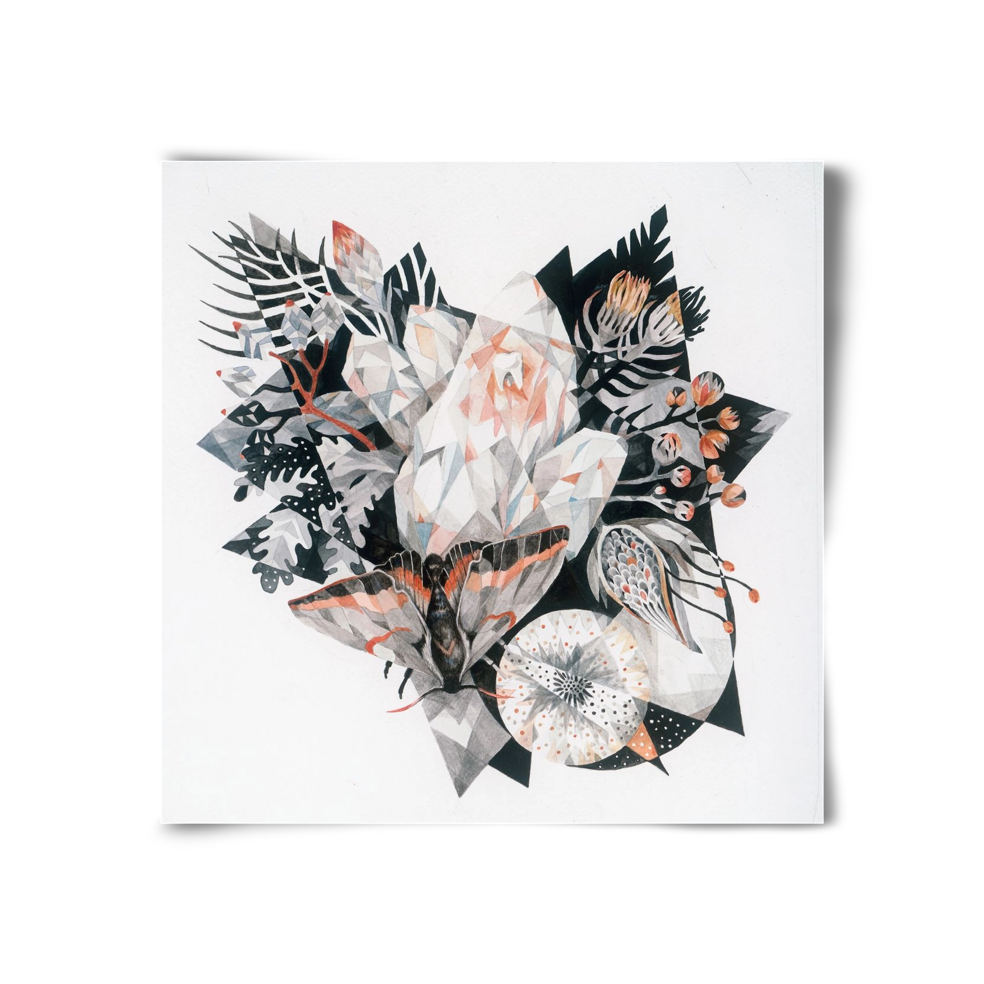 Metamorphosis, 30x30 cm, Keret nélkül