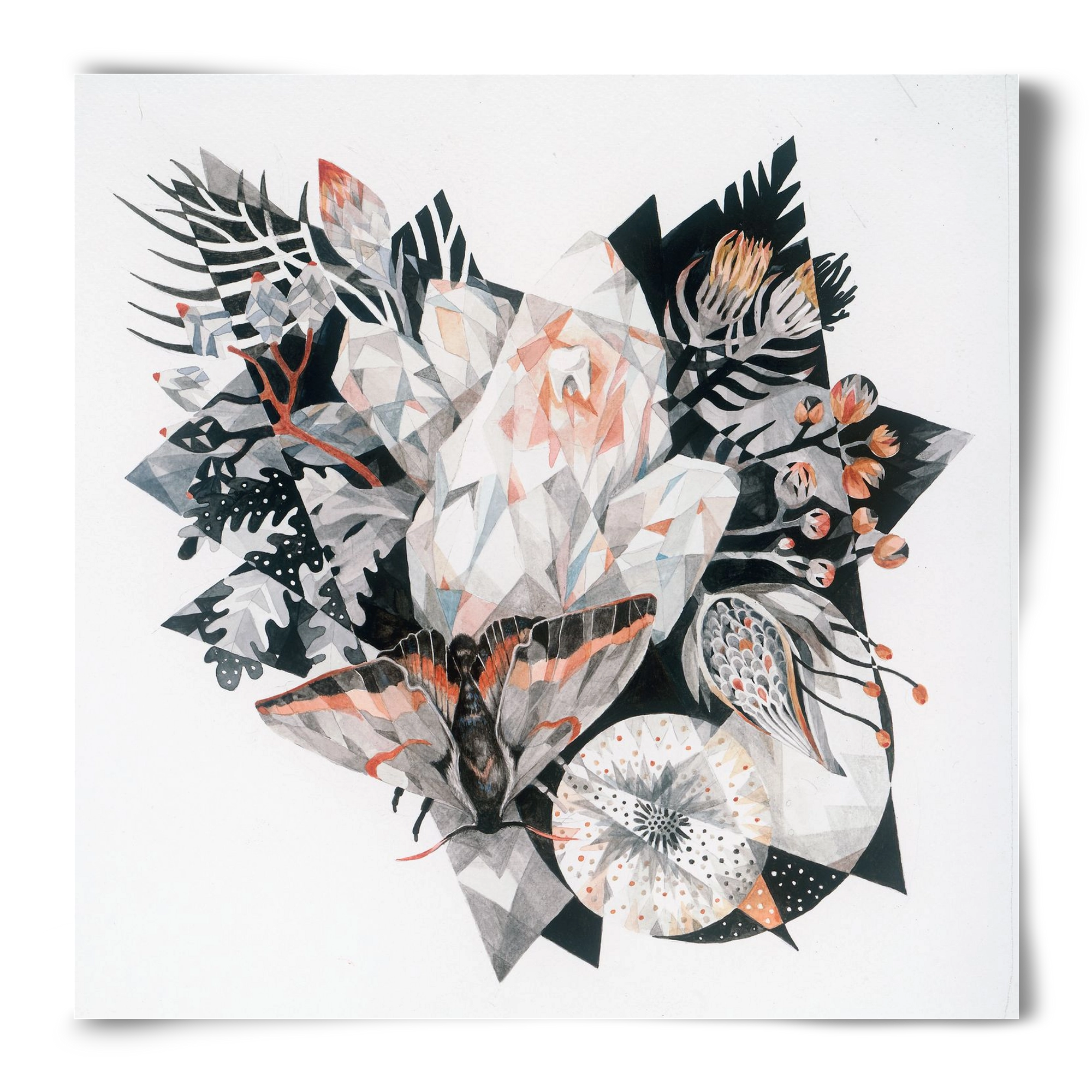 Metamorphosis, 50x50 cm, Keret nélkül