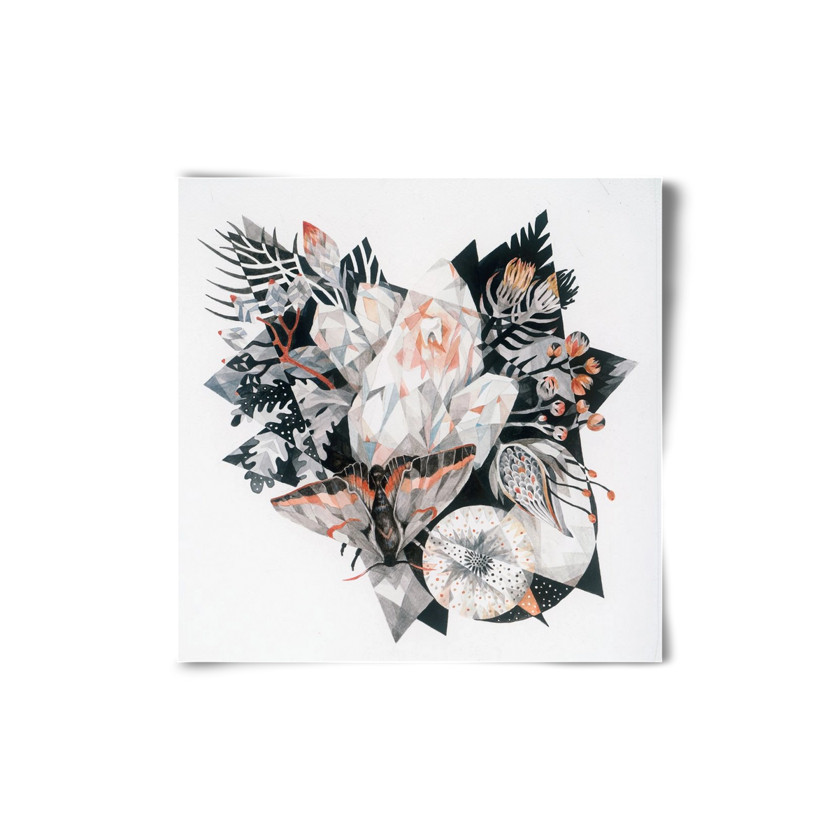 Metamorphosis, 20x20 cm, Keret nélkül