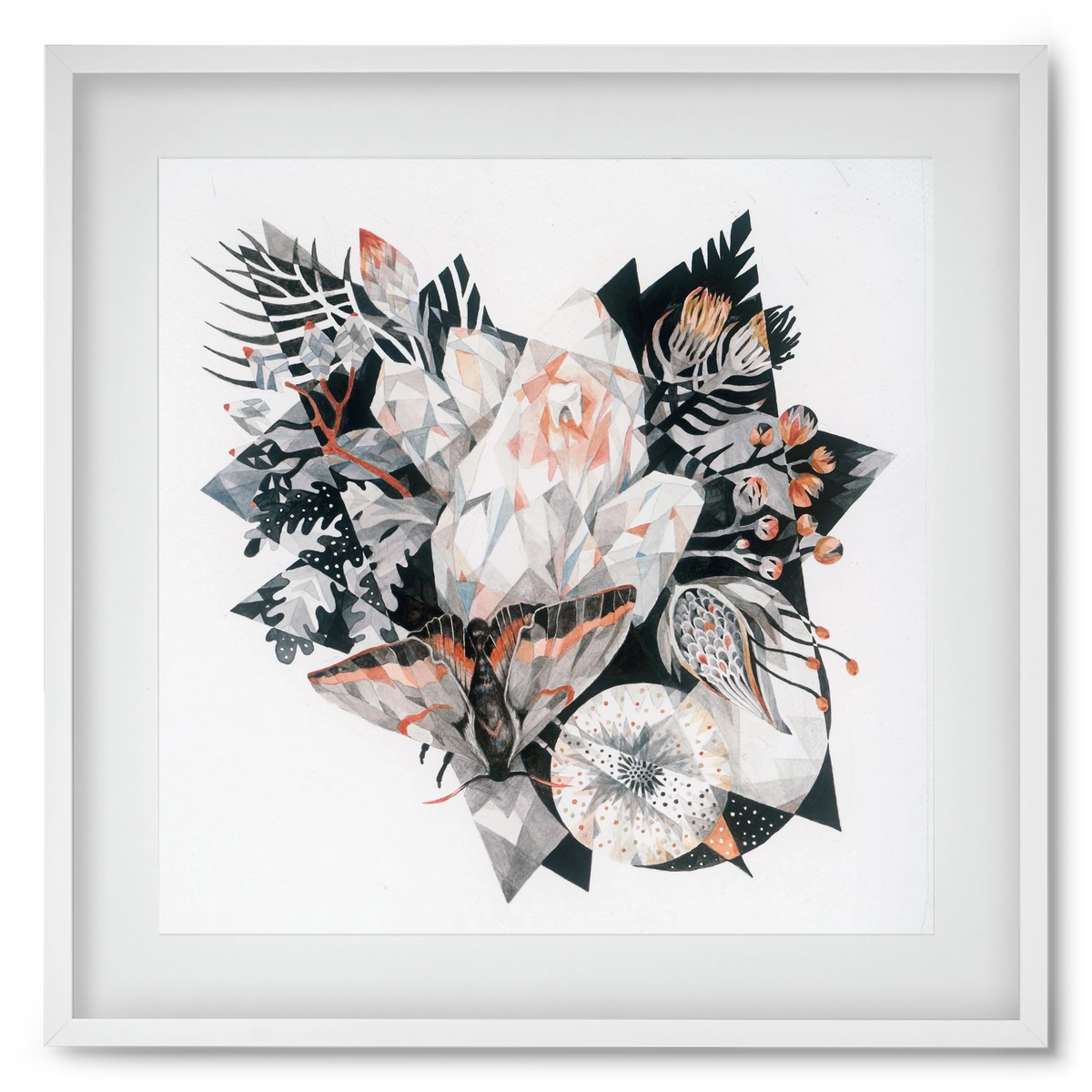 Metamorphosis, 50x50 cm (40x40 cm), Fehér keret, paszpartuval