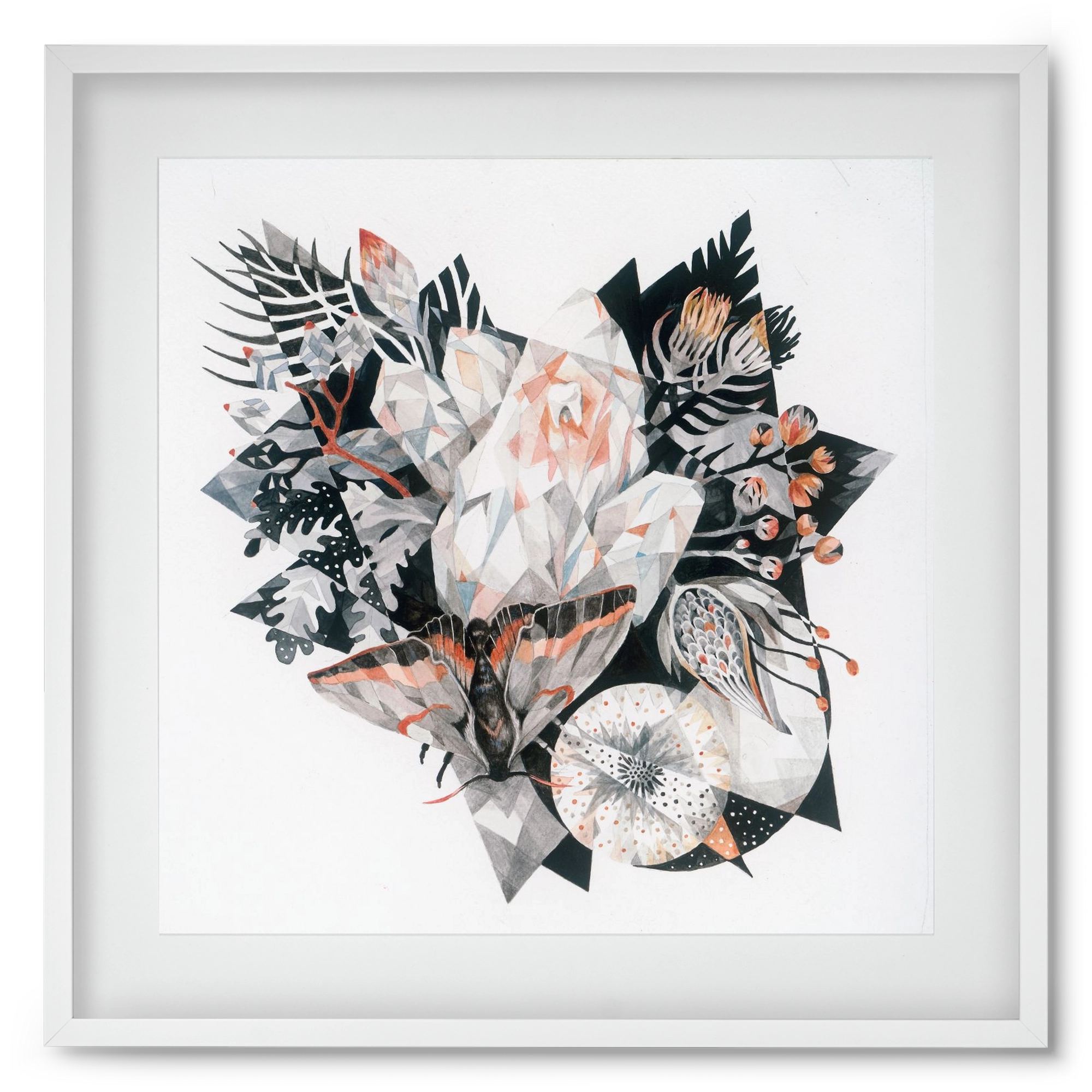 Metamorphosis, 50x50 cm (40x40 cm), Fehér keret, paszpartuval