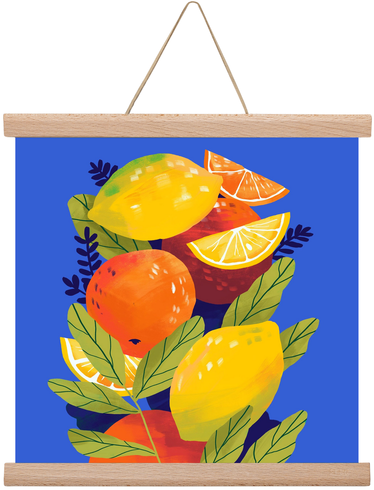 Citrus, 30x30 cm (30x30 cm), Tölgy akasztó