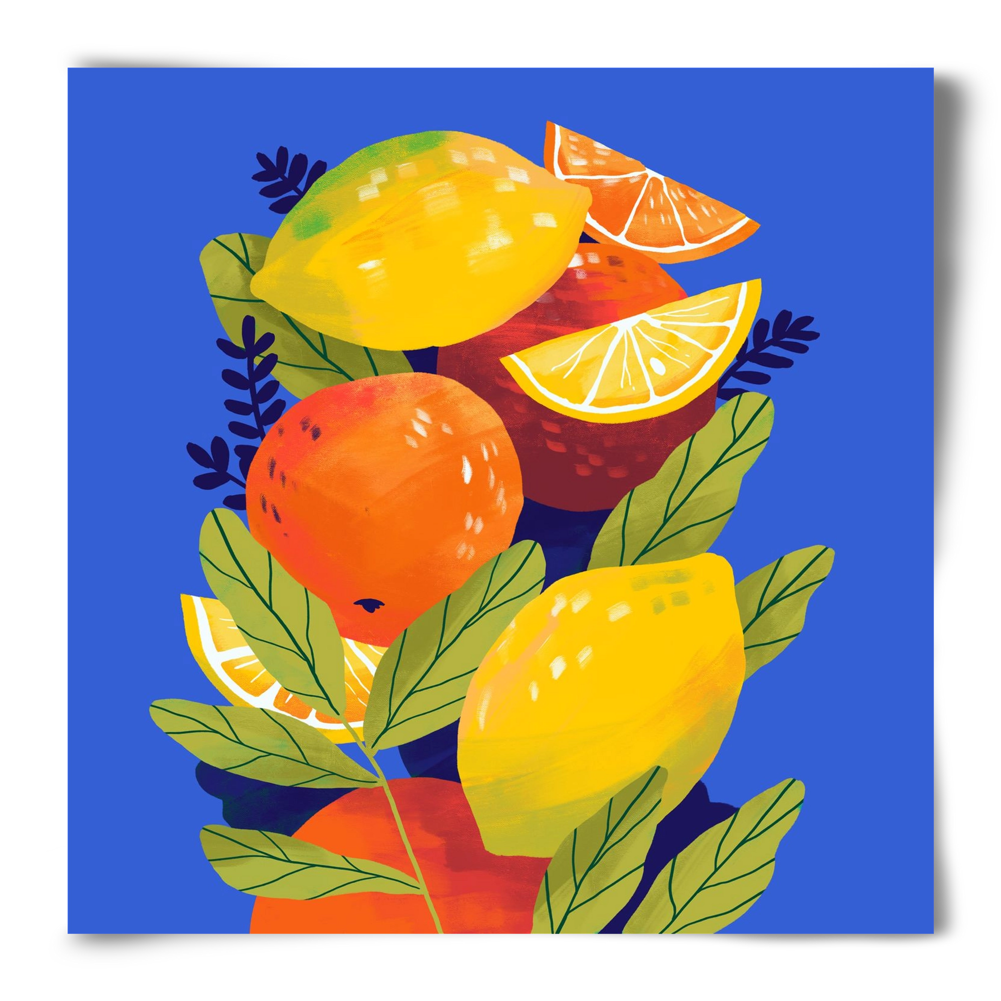 Citrus, 50x50 cm, Keret nélkül