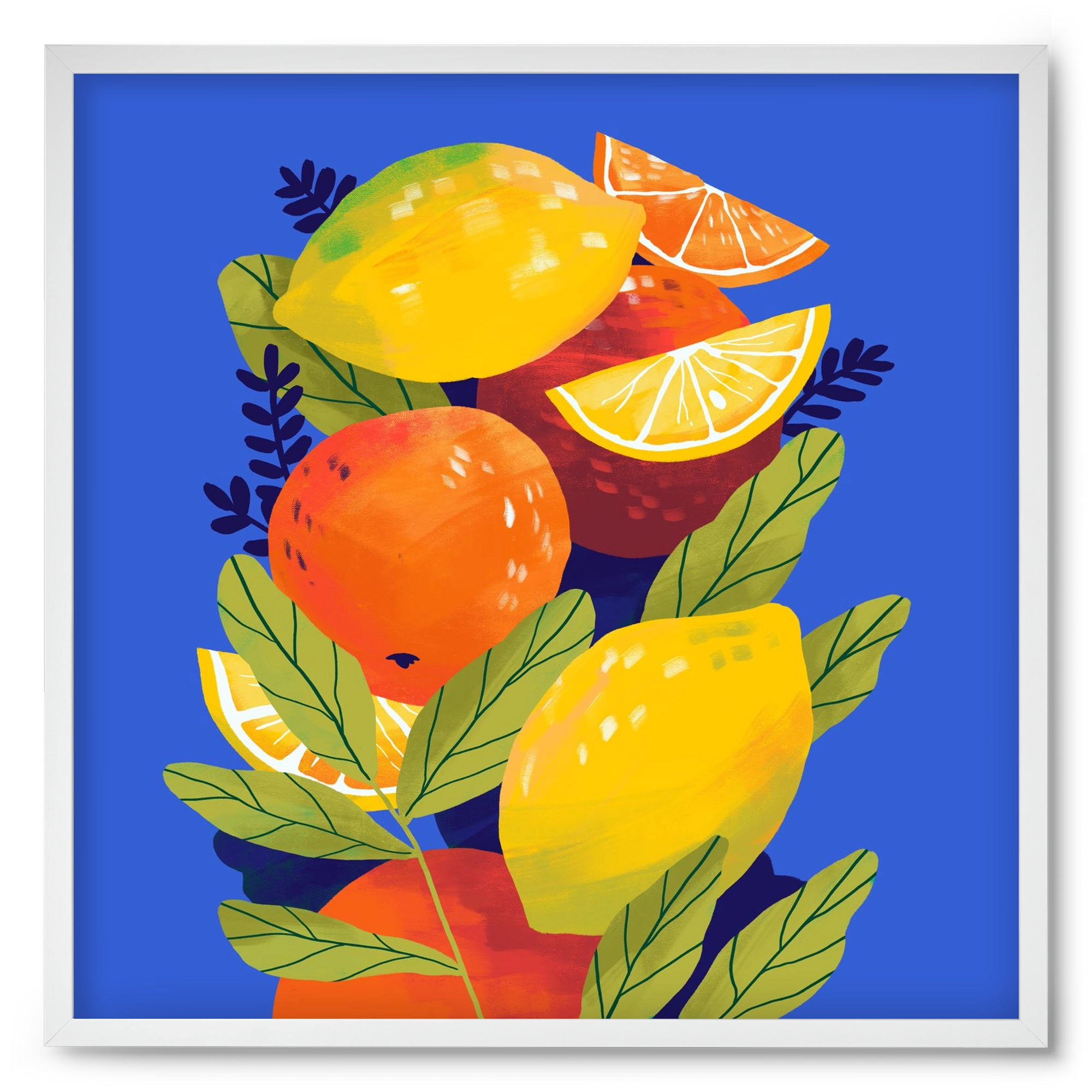 Citrus, 50x50 cm (50x50 cm), Fehér keret