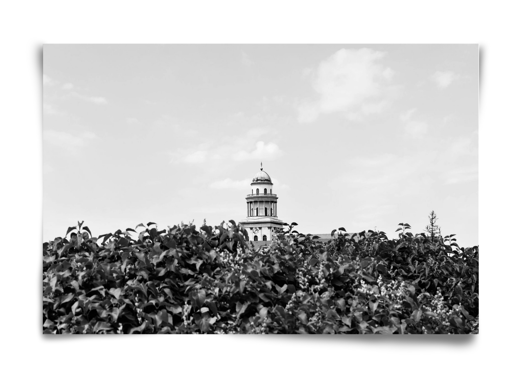 Pannonhalmi Főapátság, 60x40 cm, Keret nélkül