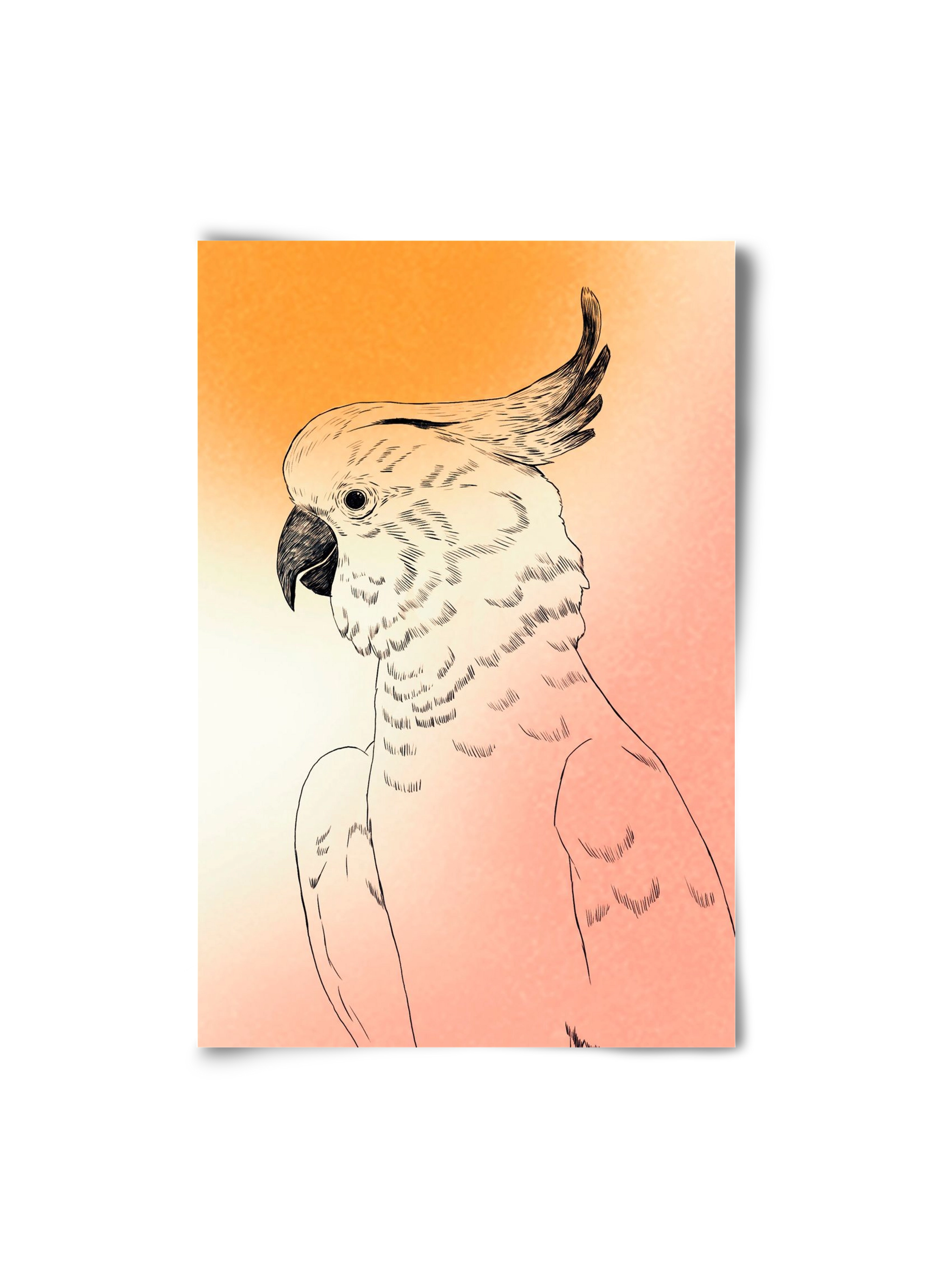 Kakadu, 20x30 cm, Keret nélkül