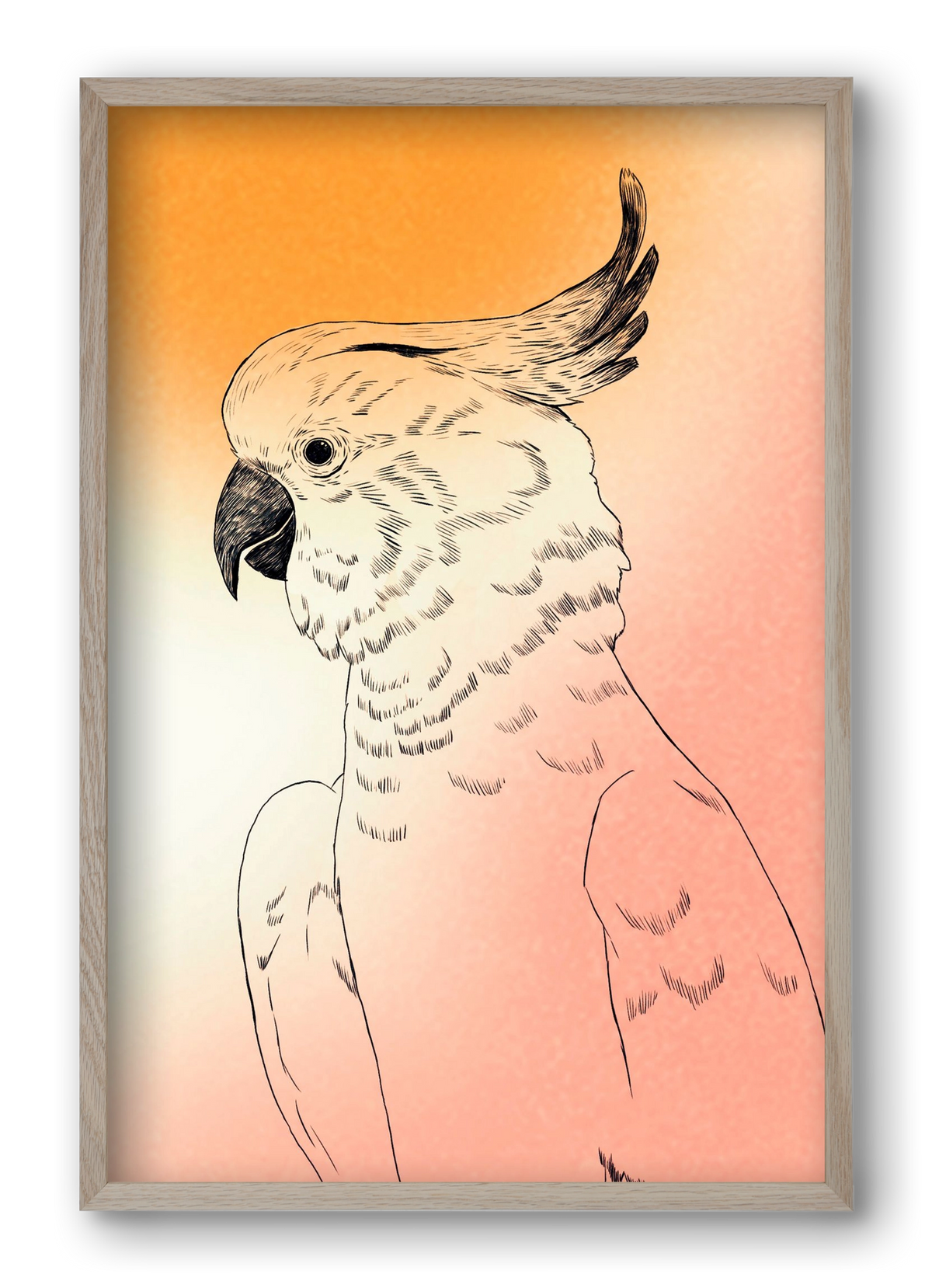 Kakadu, 40x60 cm (40x60 cm), Tölgy keret