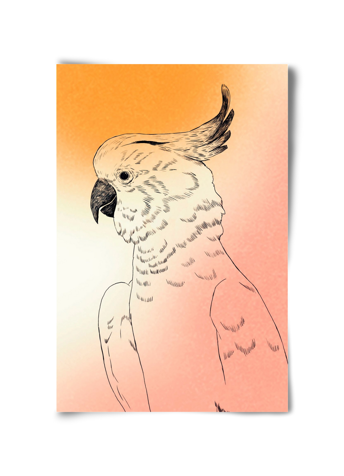 Kakadu, 30x45 cm, Keret nélkül