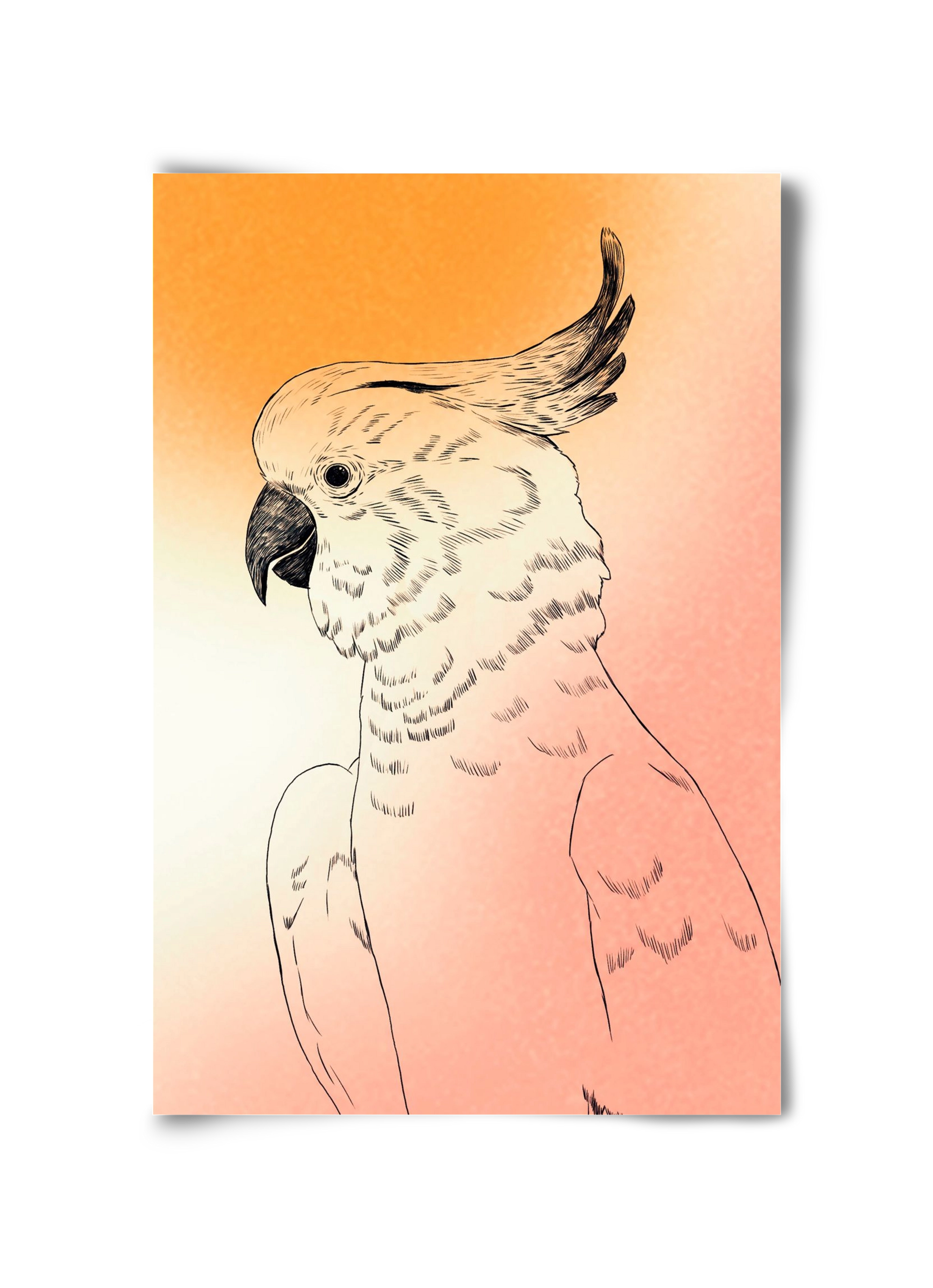 Kakadu, 30x45 cm, Keret nélkül