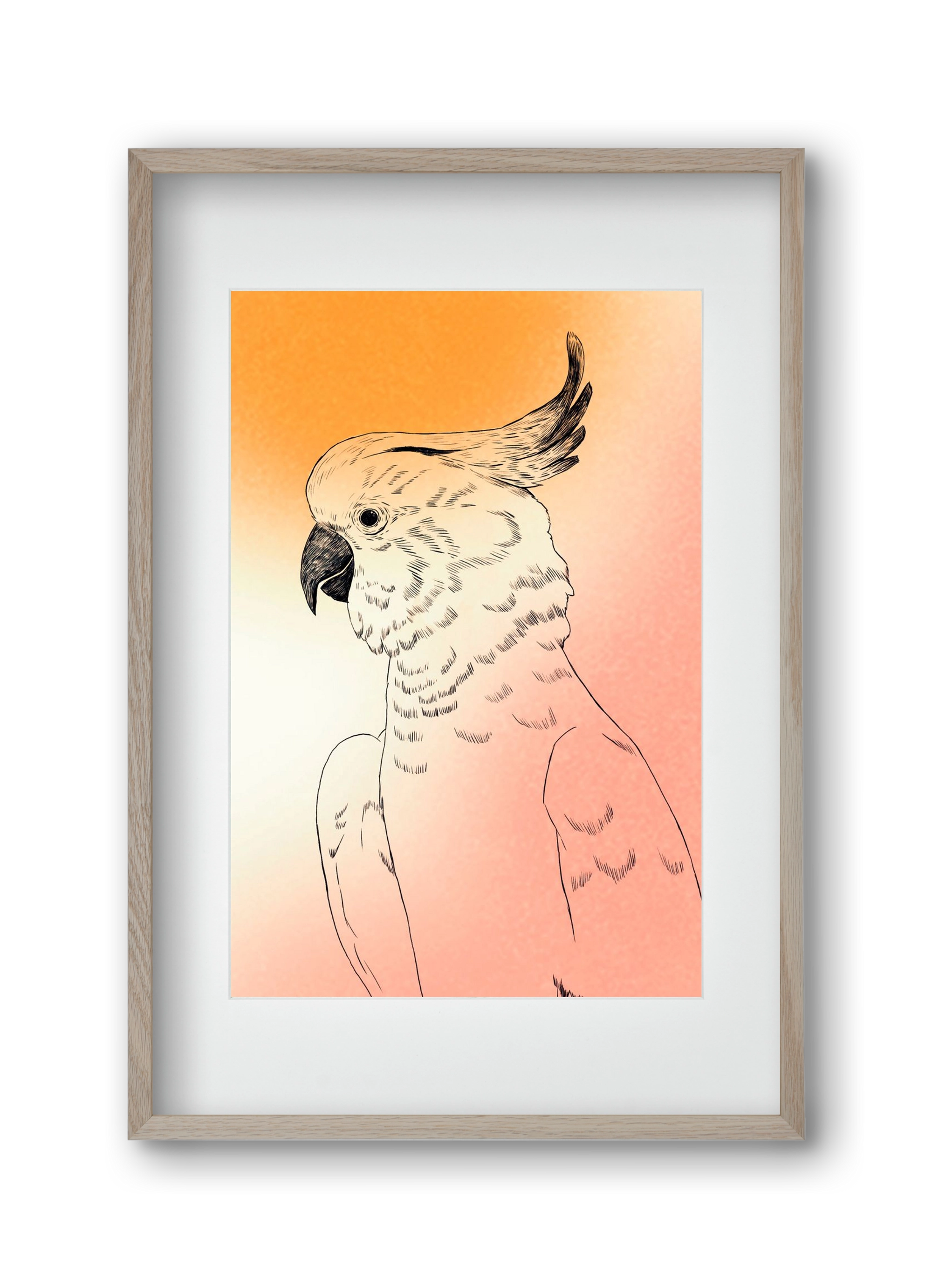 Kakadu, 30x45 cm (20x30 cm), Tölgy keret, paszpartuval
