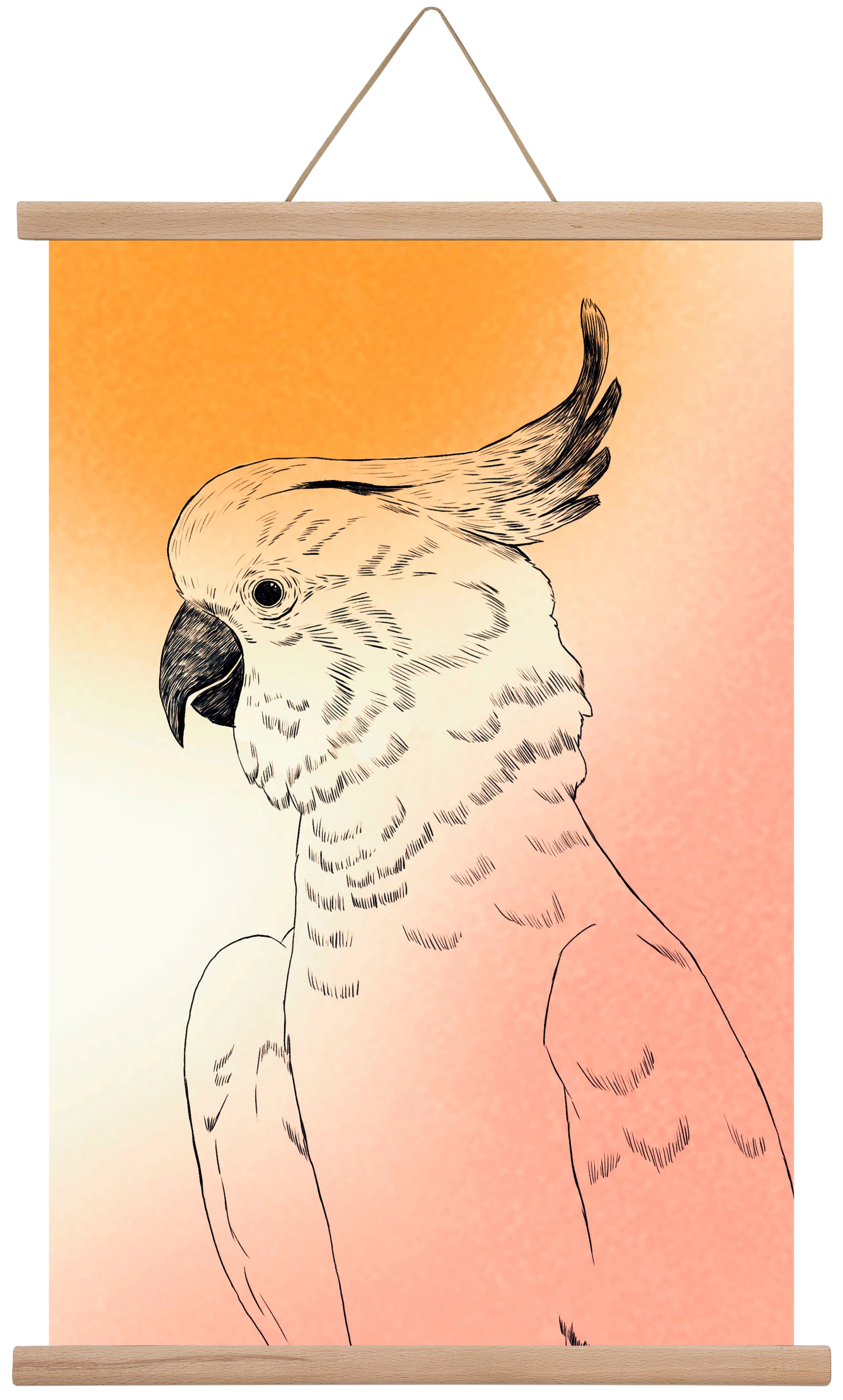 Kakadu, 40x60 cm (40x60 cm), Tölgy akasztó