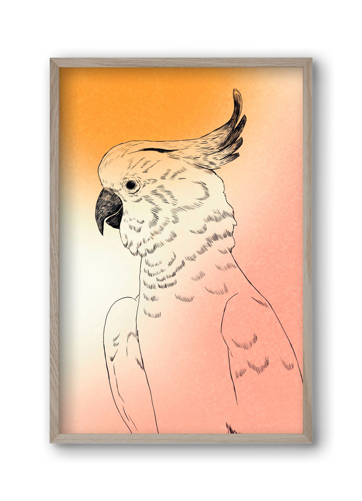 Kakadu, 30x45 cm (30x45 cm), Tölgy keret