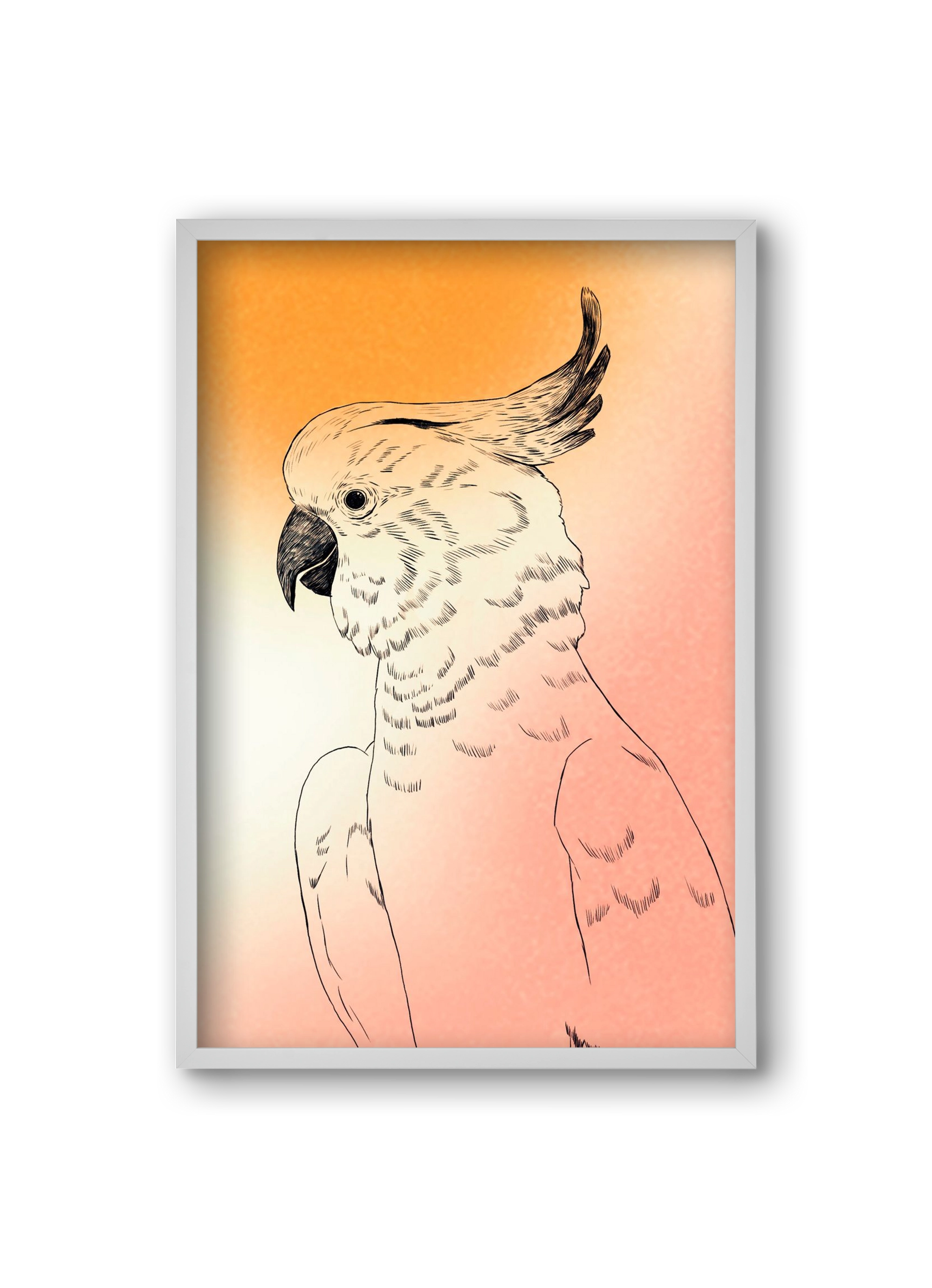 Kakadu, 20x30 cm (20x30 cm), Fehér keret