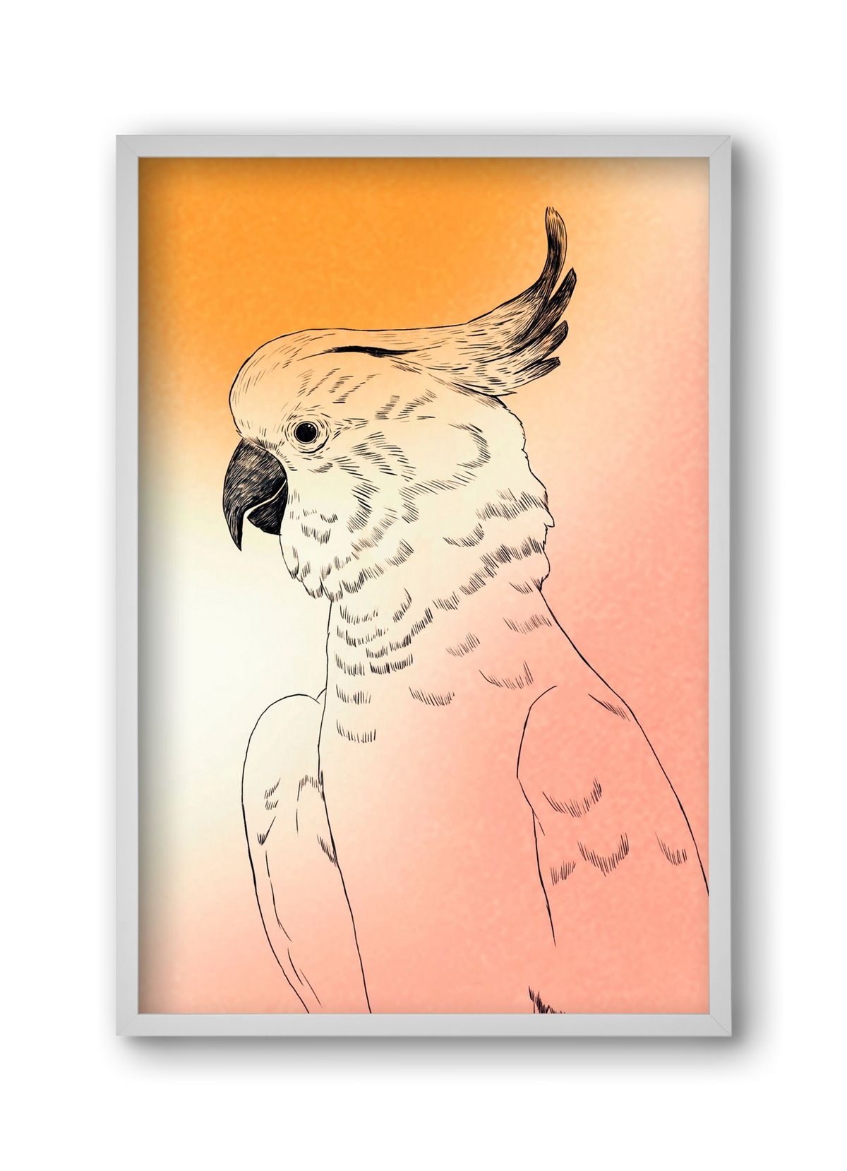 Kakadu, 30x45 cm (30x45 cm), Fehér keret
