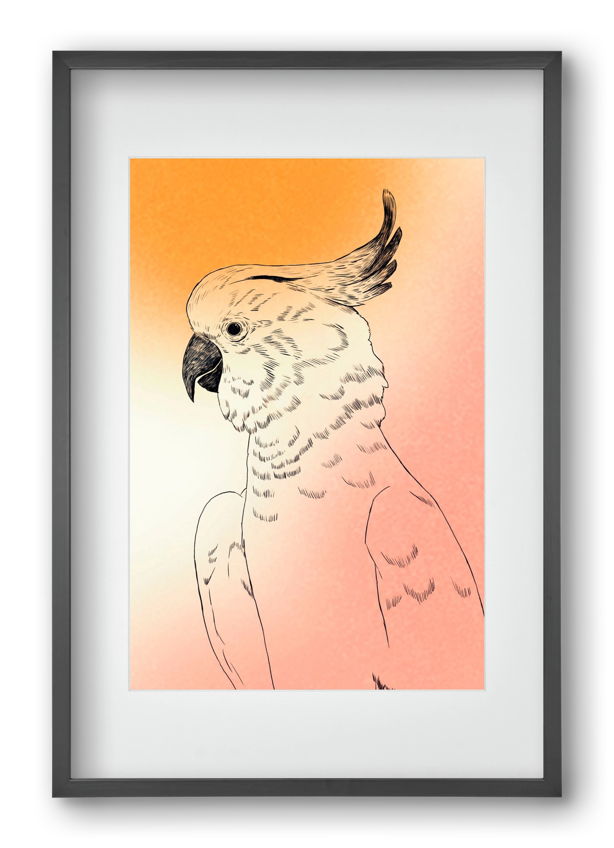 Kakadu, 40x60 cm (30x45 cm), Fekete keret, paszpartuval