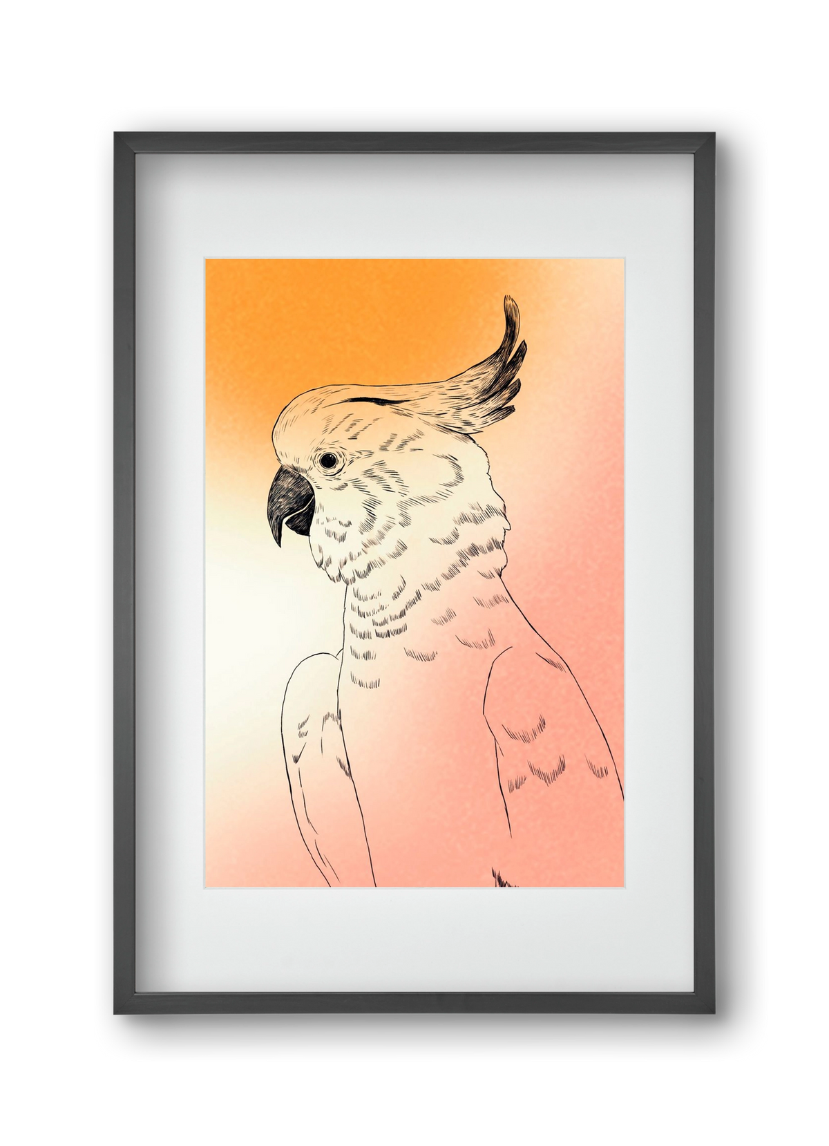 Kakadu, 30x45 cm (20x30 cm), Fekete keret, paszpartuval