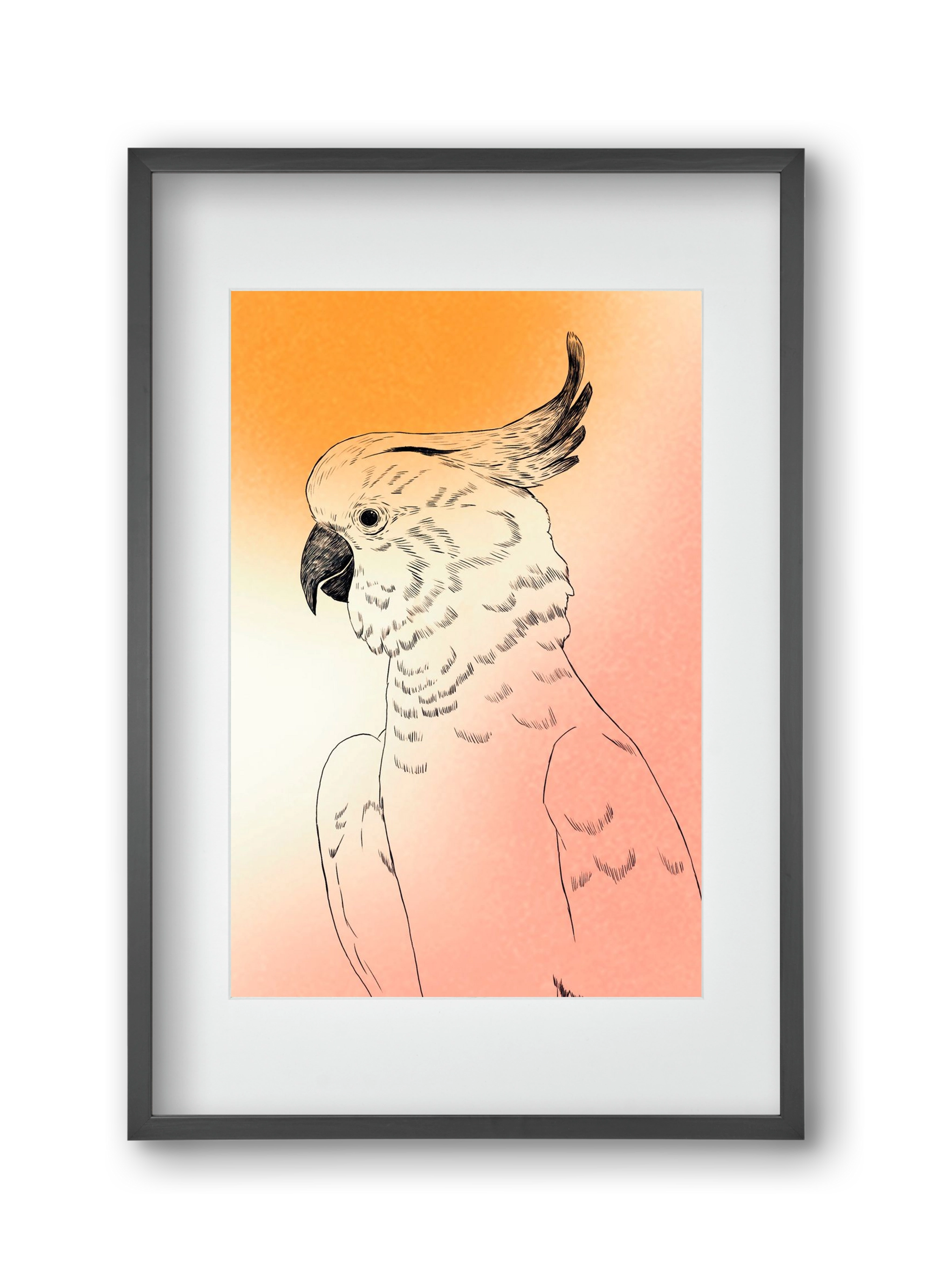 Kakadu, 30x45 cm (20x30 cm), Fekete keret, paszpartuval