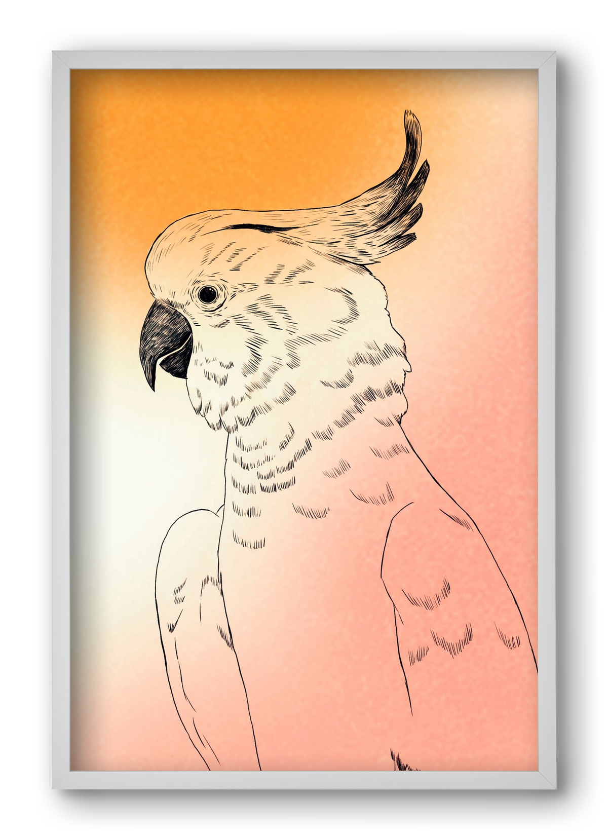 Kakadu, 40x60 cm (40x60 cm), Fehér keret