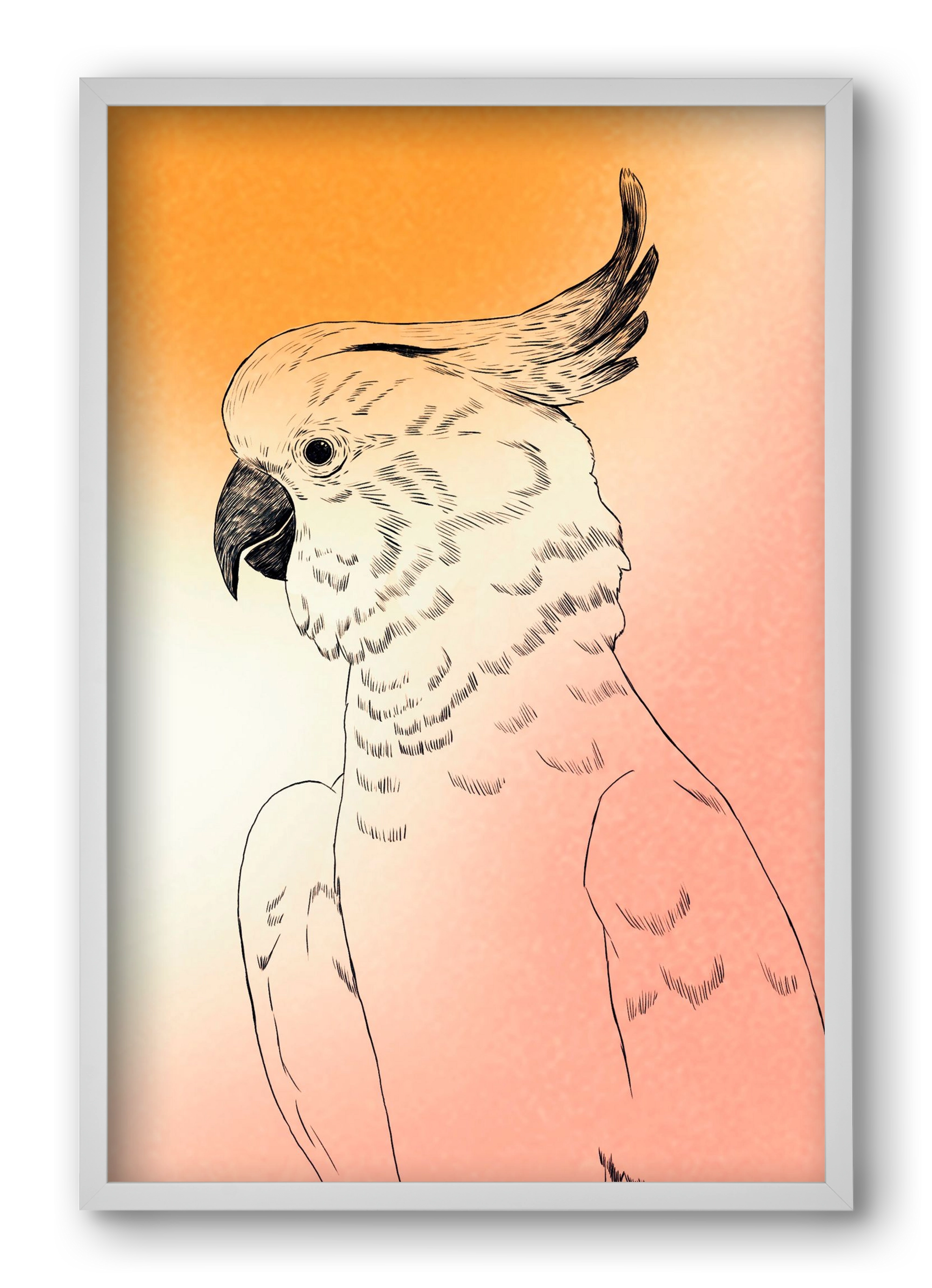 Kakadu, 40x60 cm (40x60 cm), Fehér keret