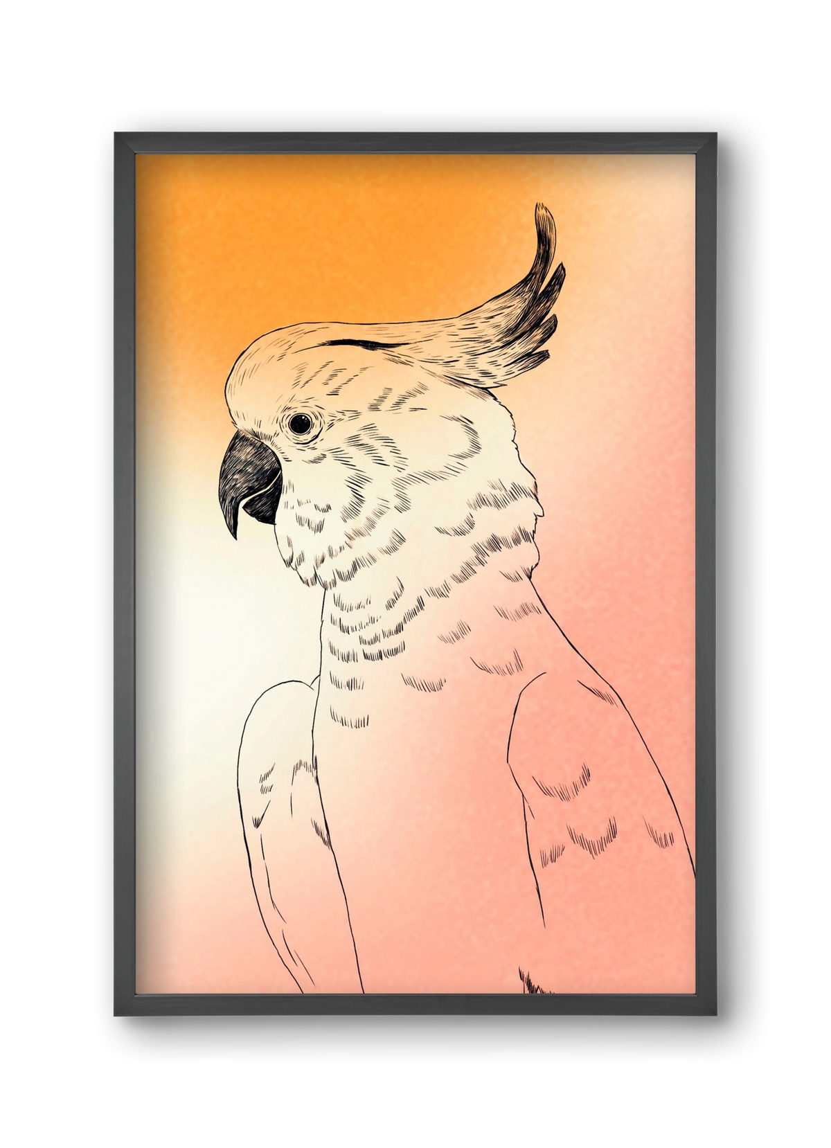 Kakadu, 30x45 cm (30x45 cm), Fekete keret