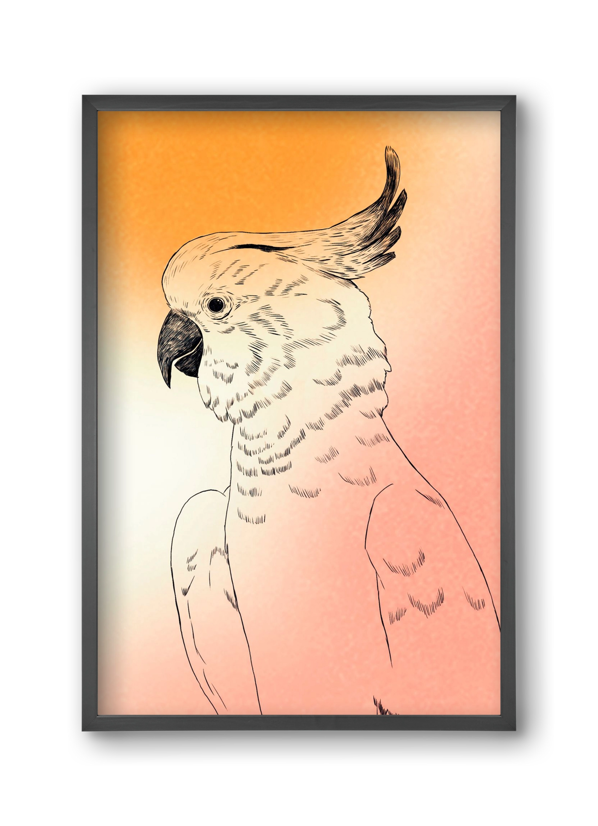Kakadu, 30x45 cm (30x45 cm), Fekete keret