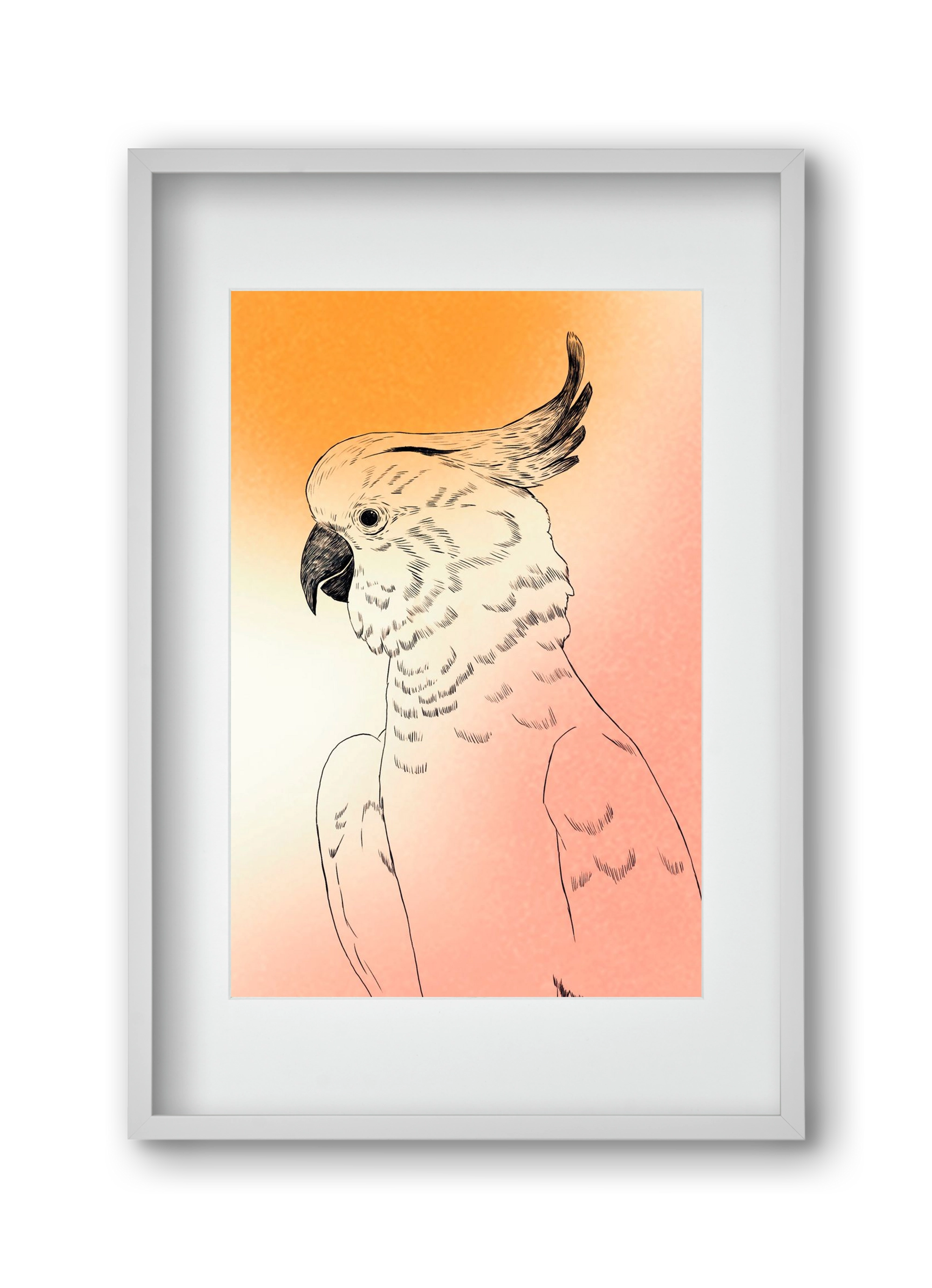 Kakadu, 30x45 cm (20x30 cm), Fehér keret, paszpartuval