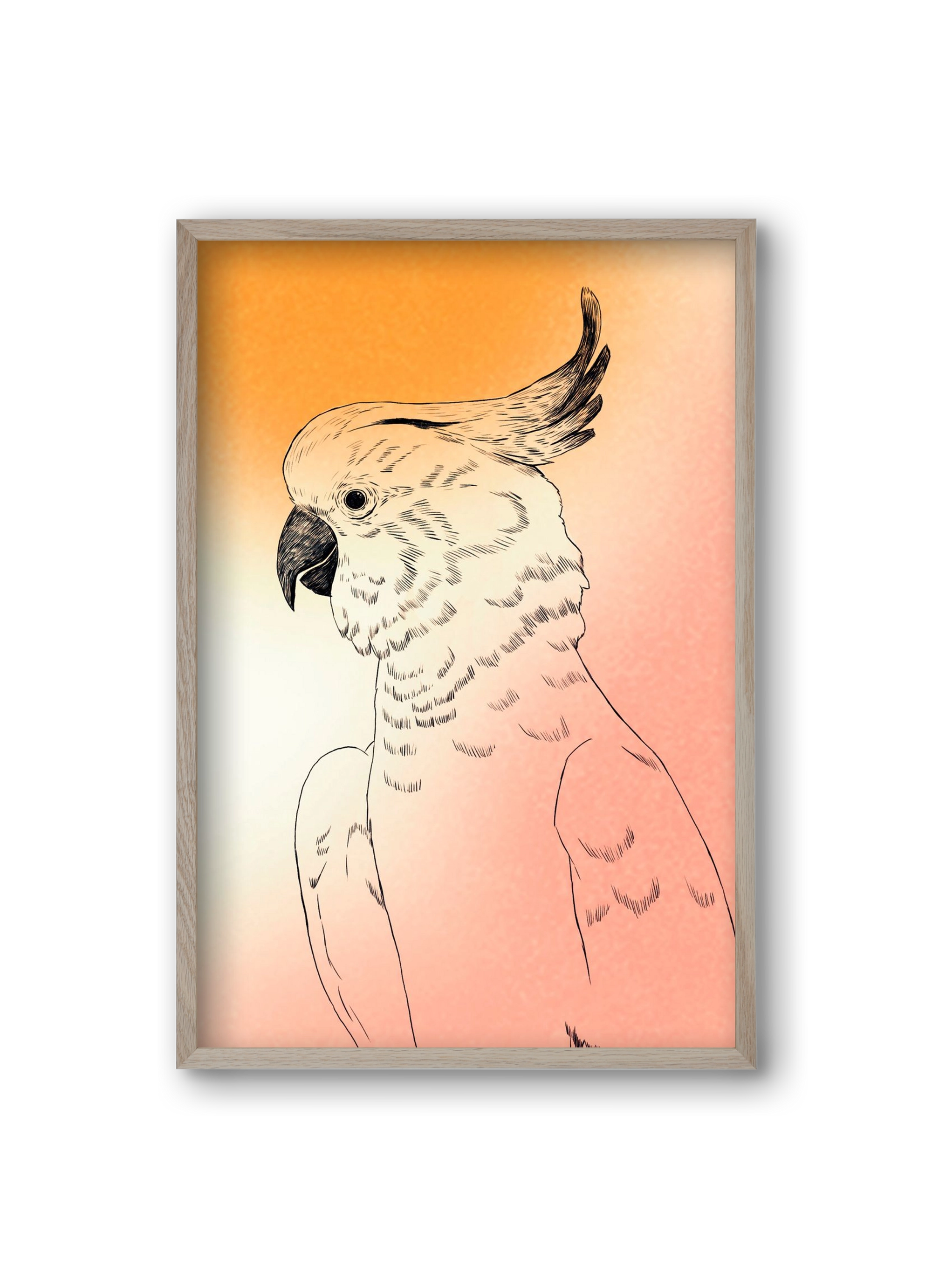 Kakadu, 20x30 cm (20x30 cm), Tölgy keret