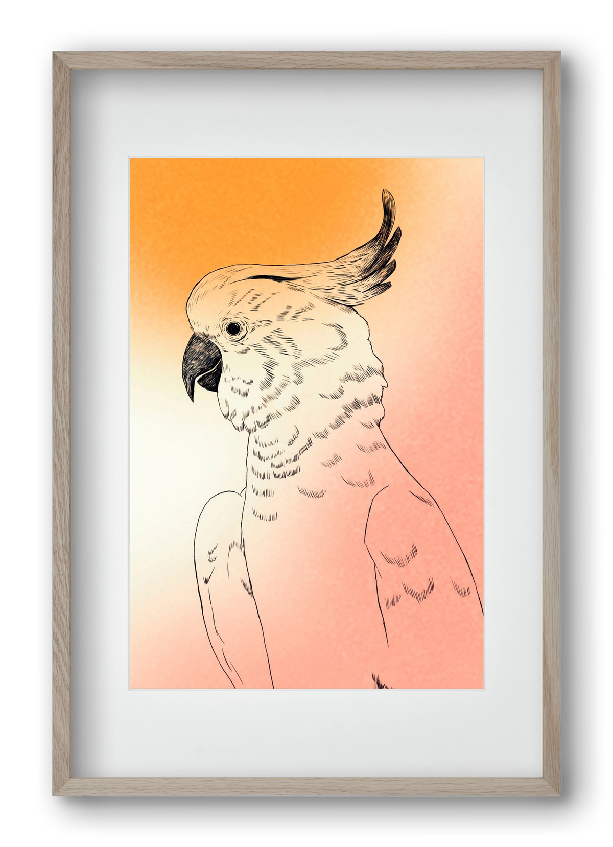 Kakadu, 40x60 cm (30x45 cm), Tölgy keret, paszpartuval