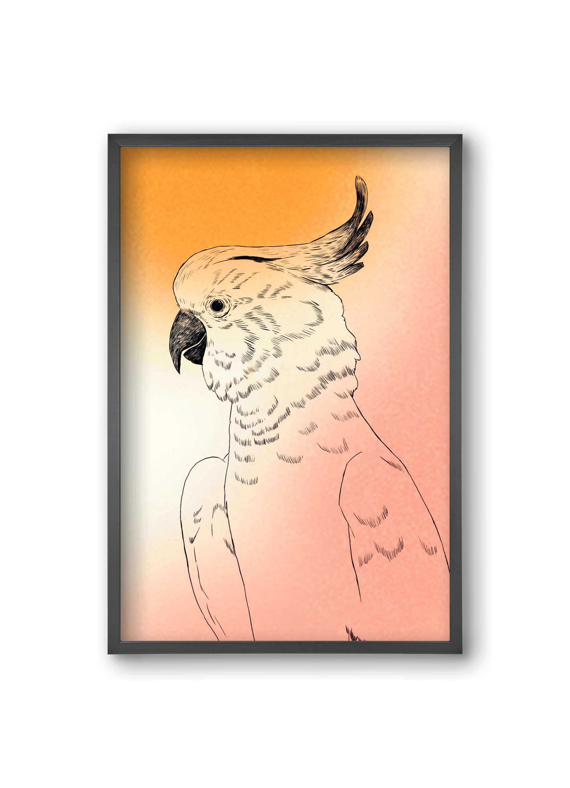 Kakadu, 20x30 cm (20x30 cm), Fekete keret