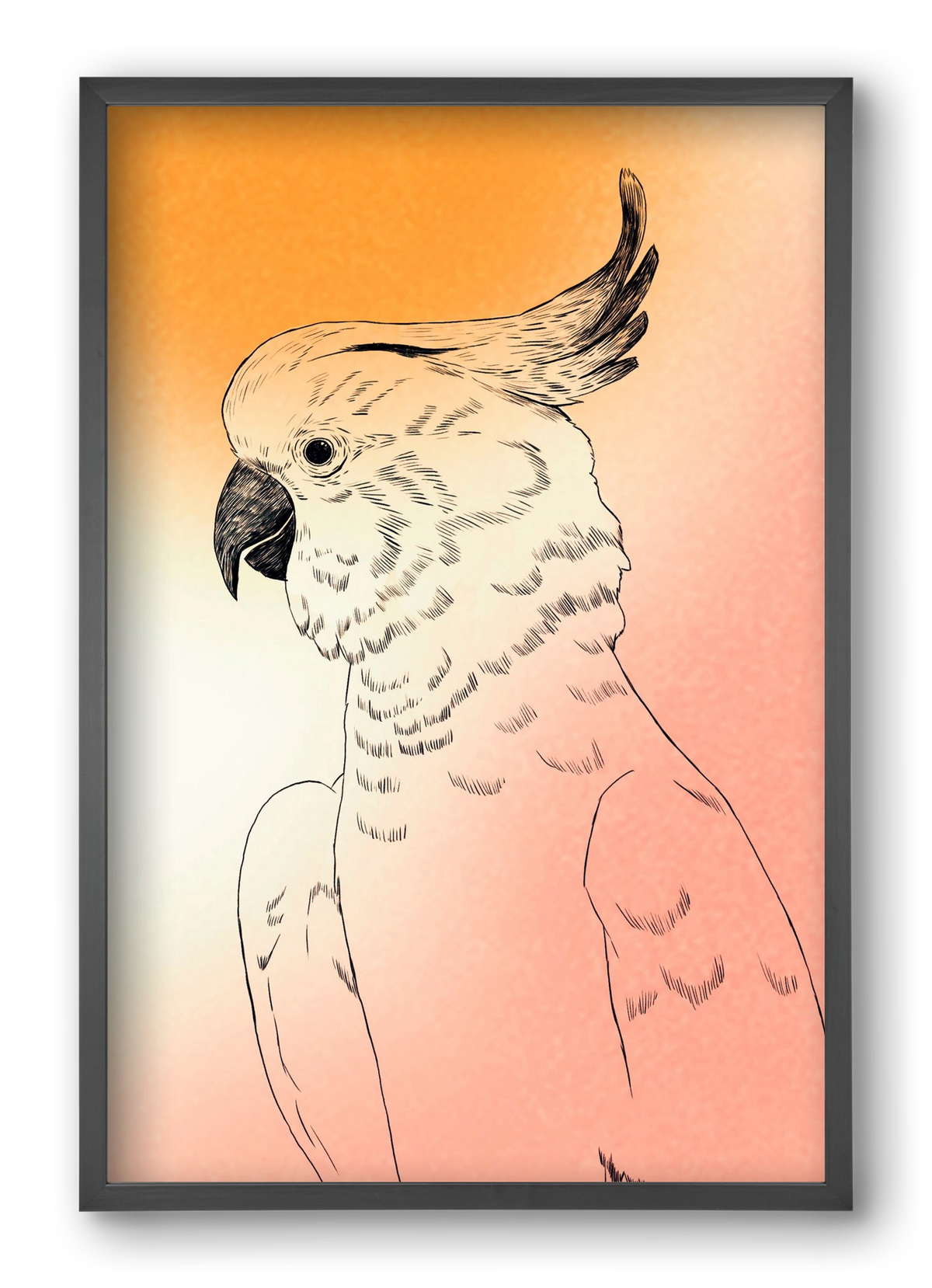 Kakadu, 40x60 cm (40x60 cm), Fekete keret