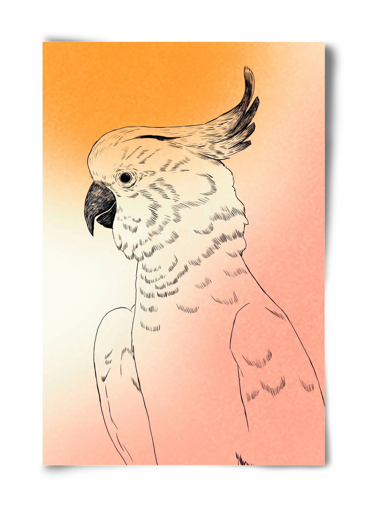 Kakadu, 40x60 cm, Keret nélkül